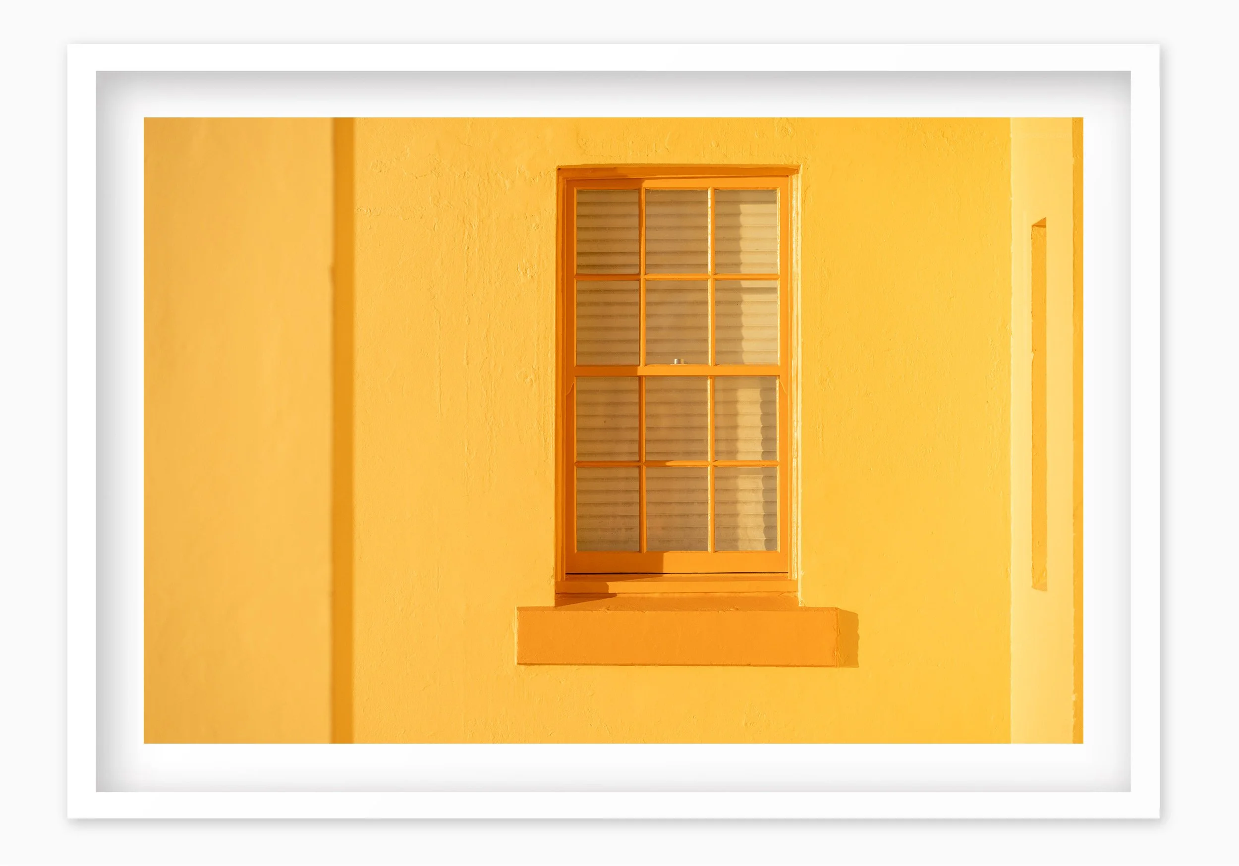 mfsprout_20260806_362_WhiteBox-Frame-SproutDaily_PrintShop.jpg