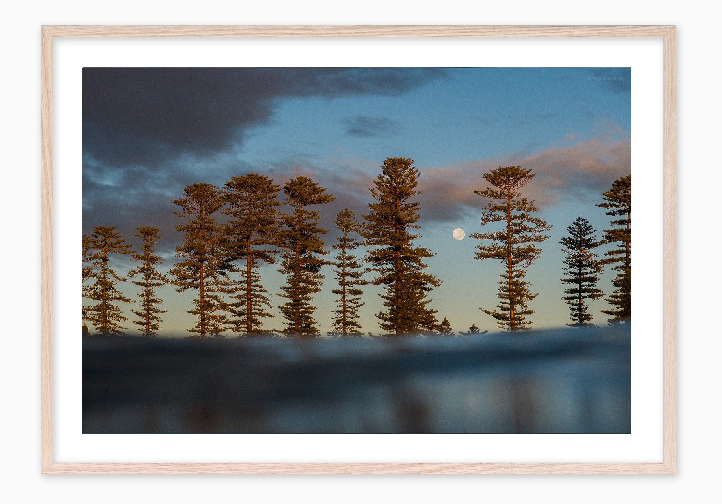 mfsprout20180531_262_RawOak-Frame_SproutDaily_PrintShop.jpg