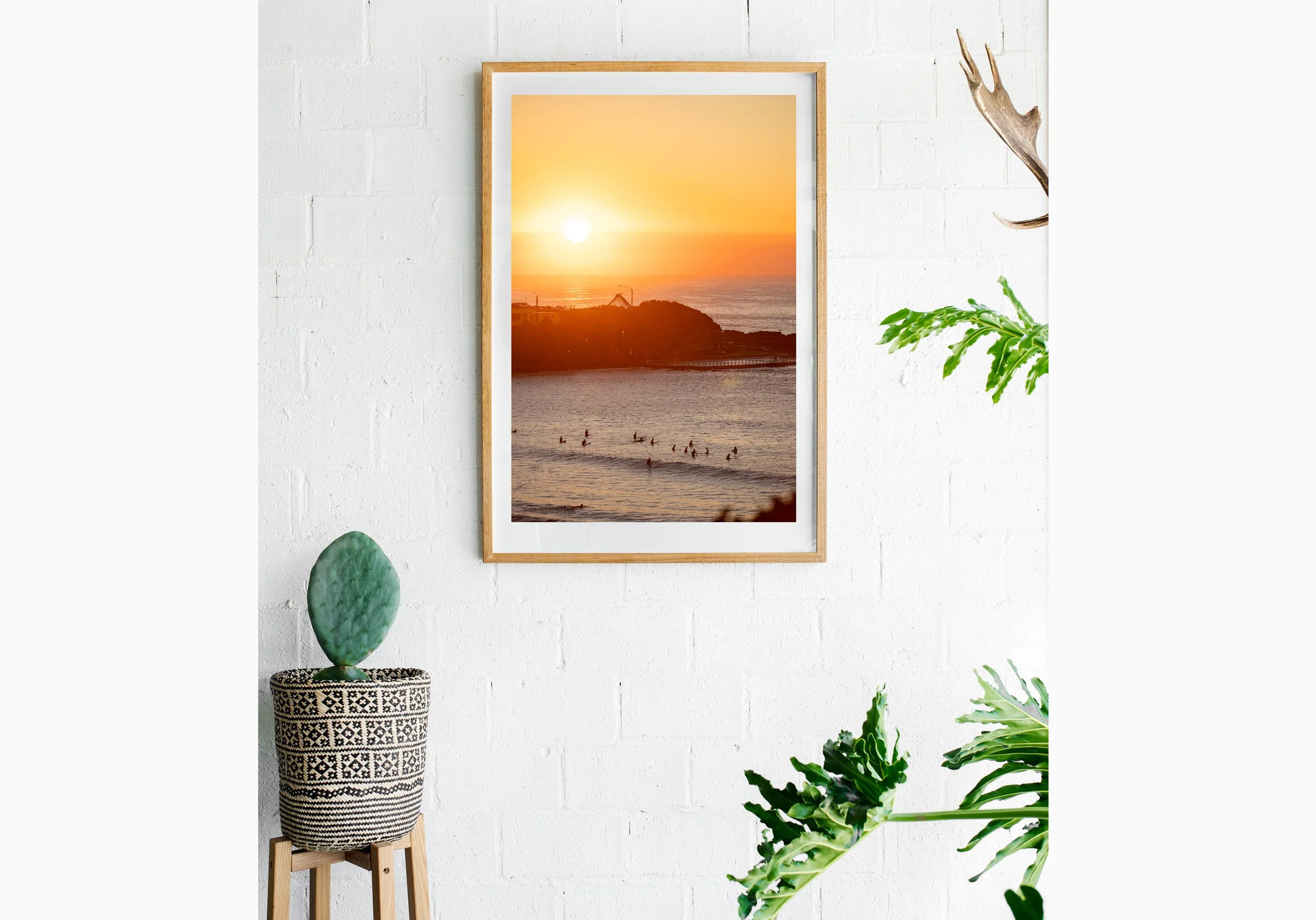 Insitu_mfsprout__20260415_22_RawOak-Frame_SproutDaily_PrintShop.jpg