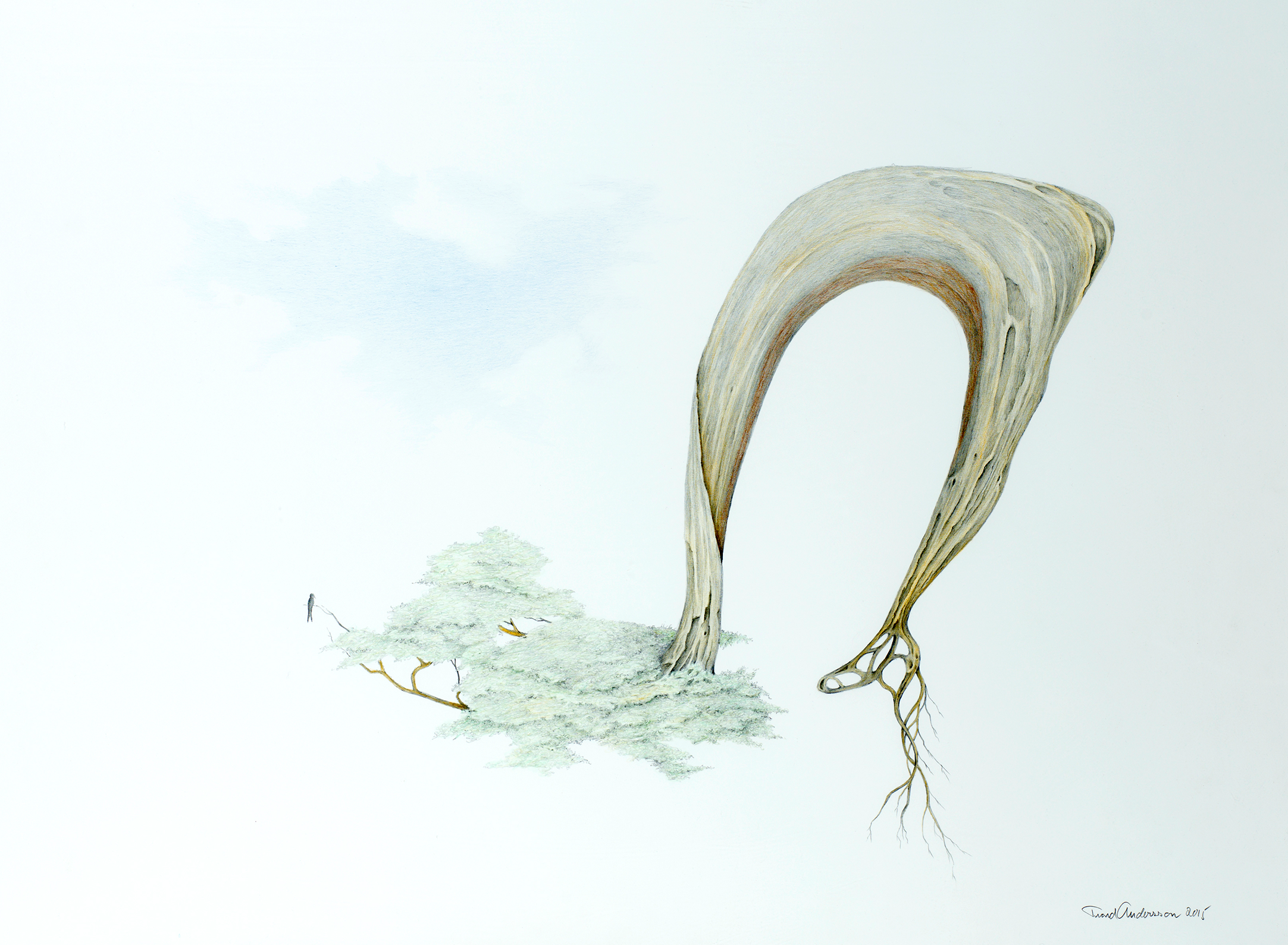 26_2015_Aa_sveve.png