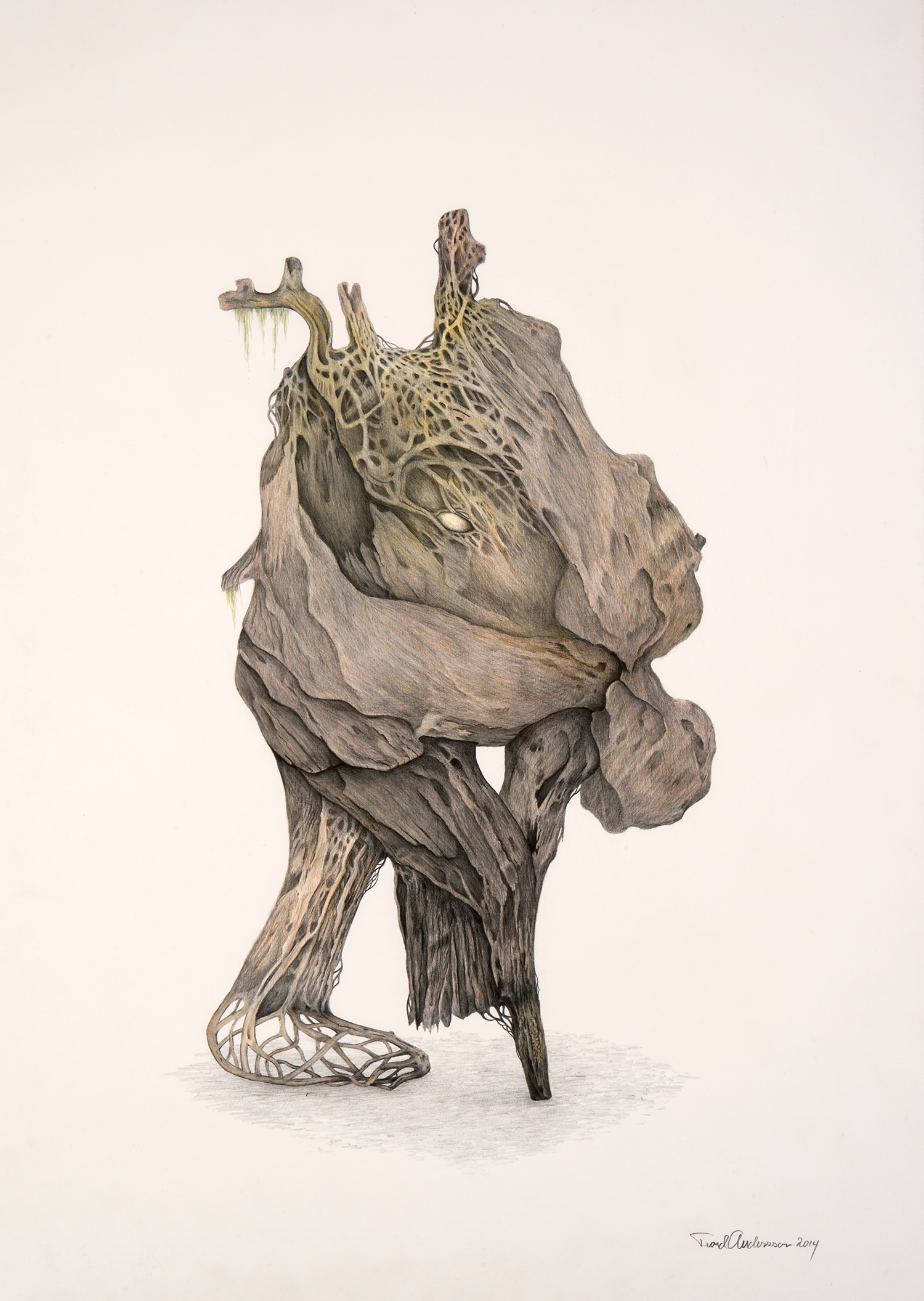 31_2014_Uten_rotter.png