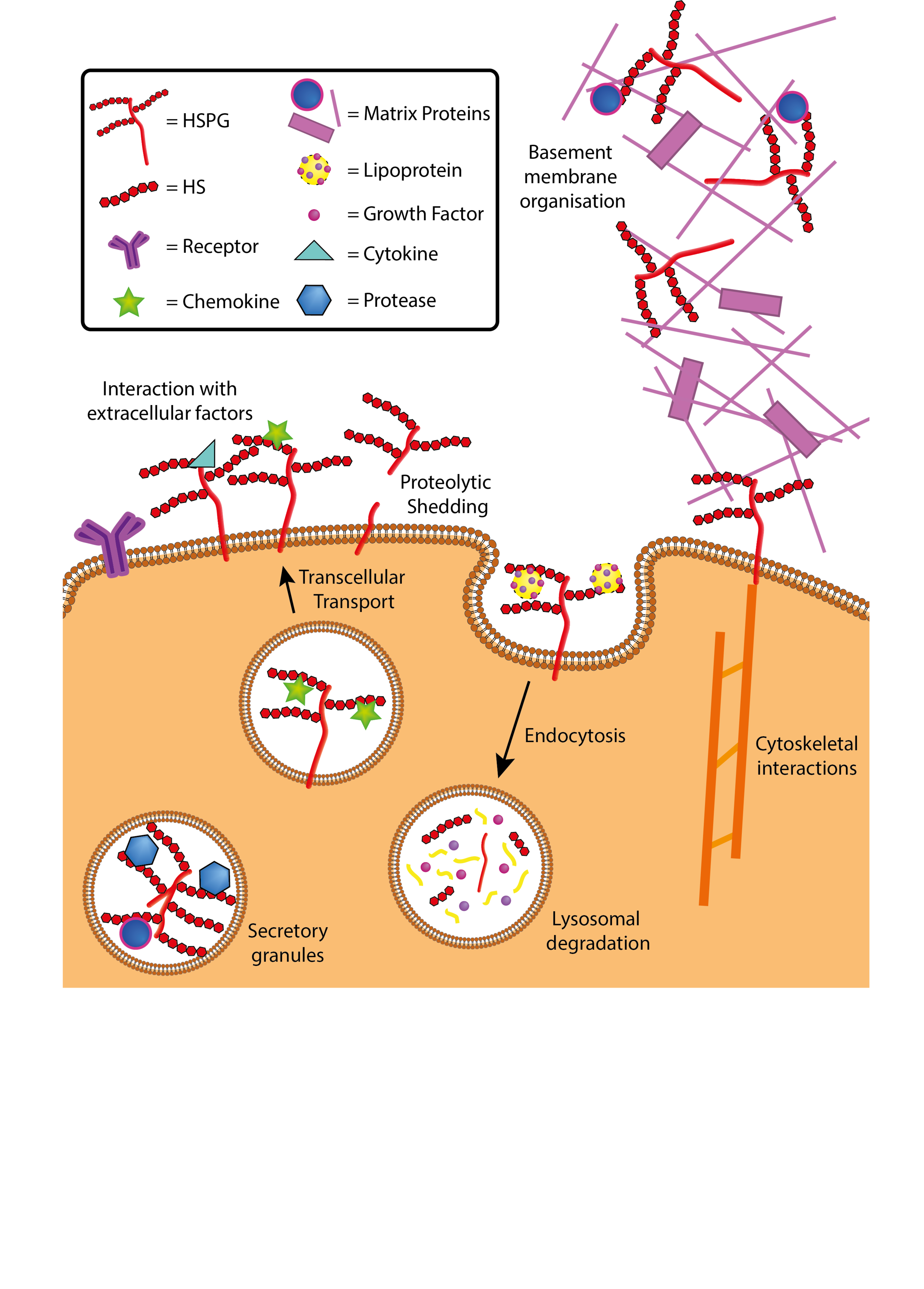 Figure 3.png