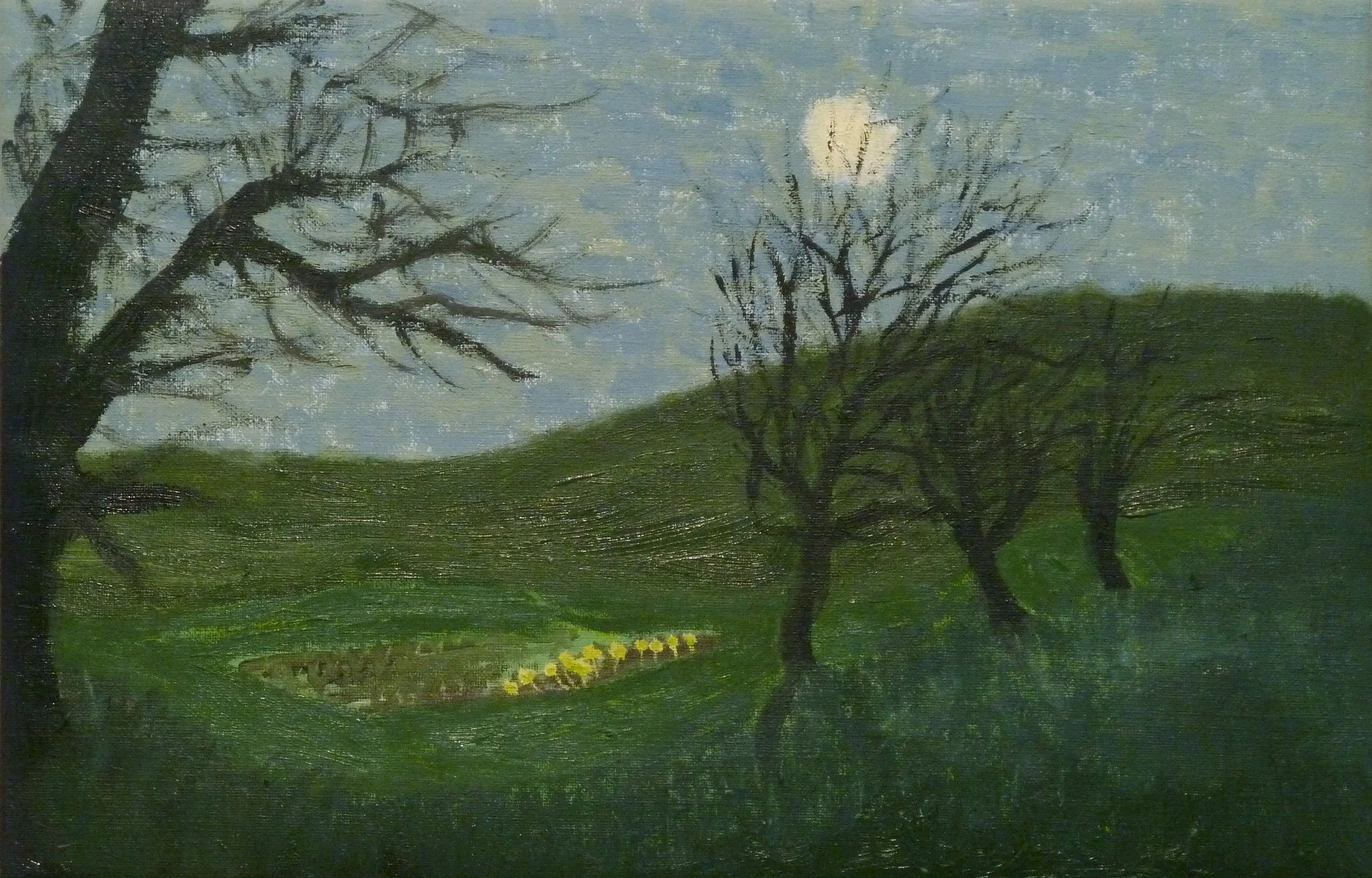 Huerta, nocturno. San Miguel de Arroes