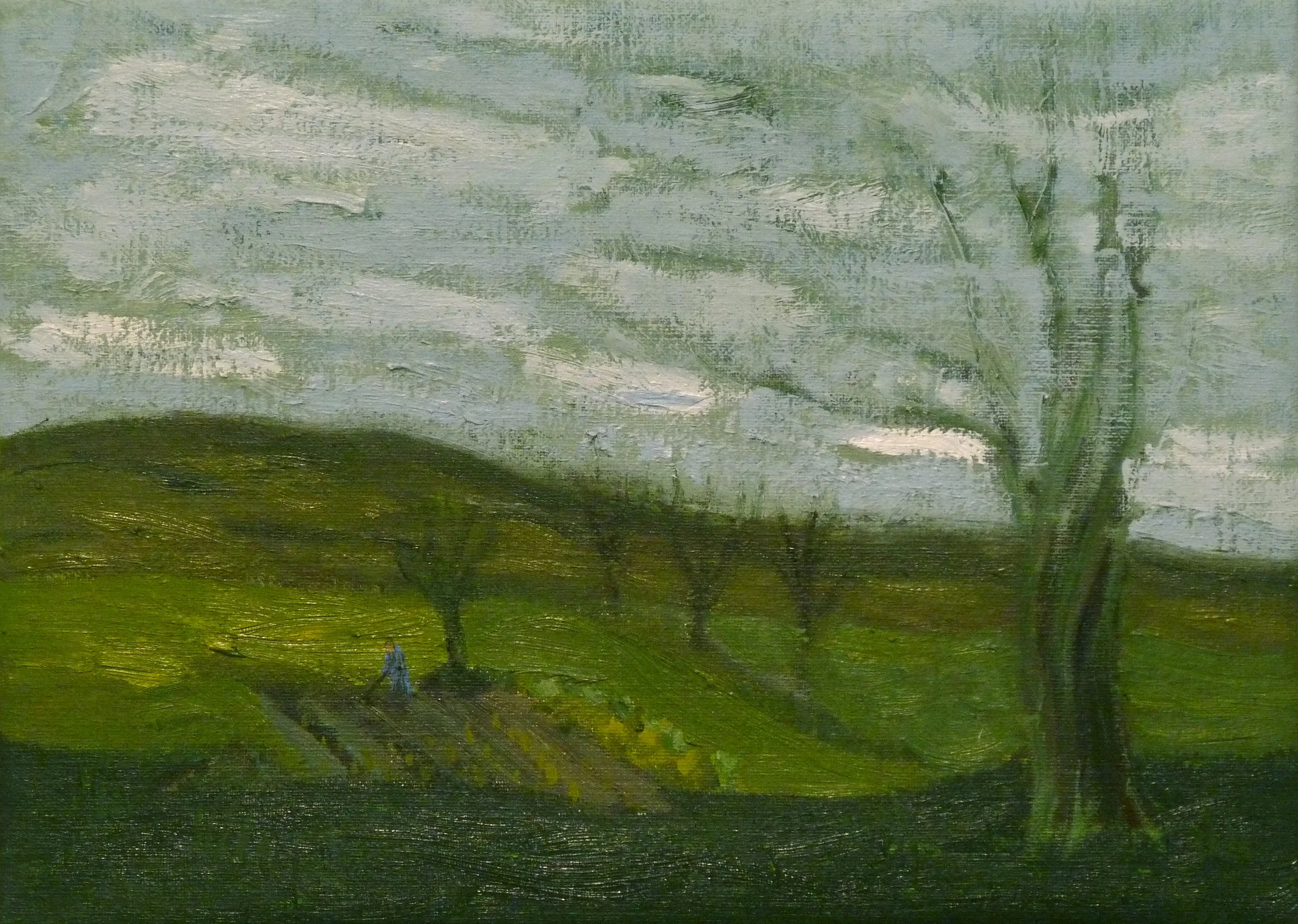 Huerta, viento. San Miguel de Arroes