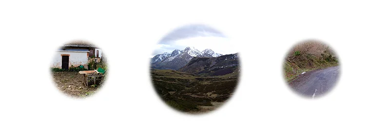 Hidden Dragon TOP montañas