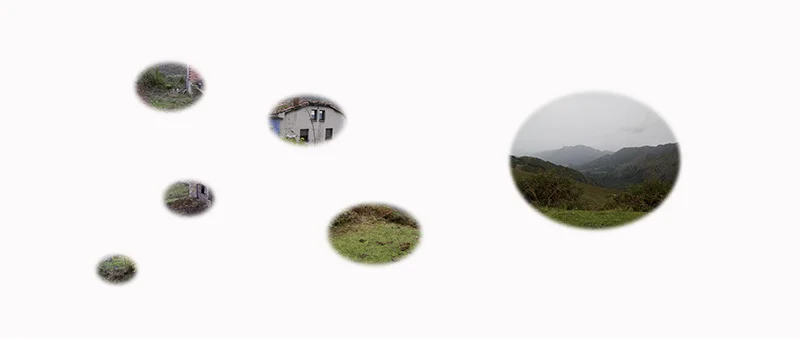 Hidden Dragon Súper Bimenes