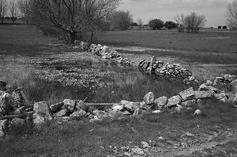 Santiuste de Pedraza