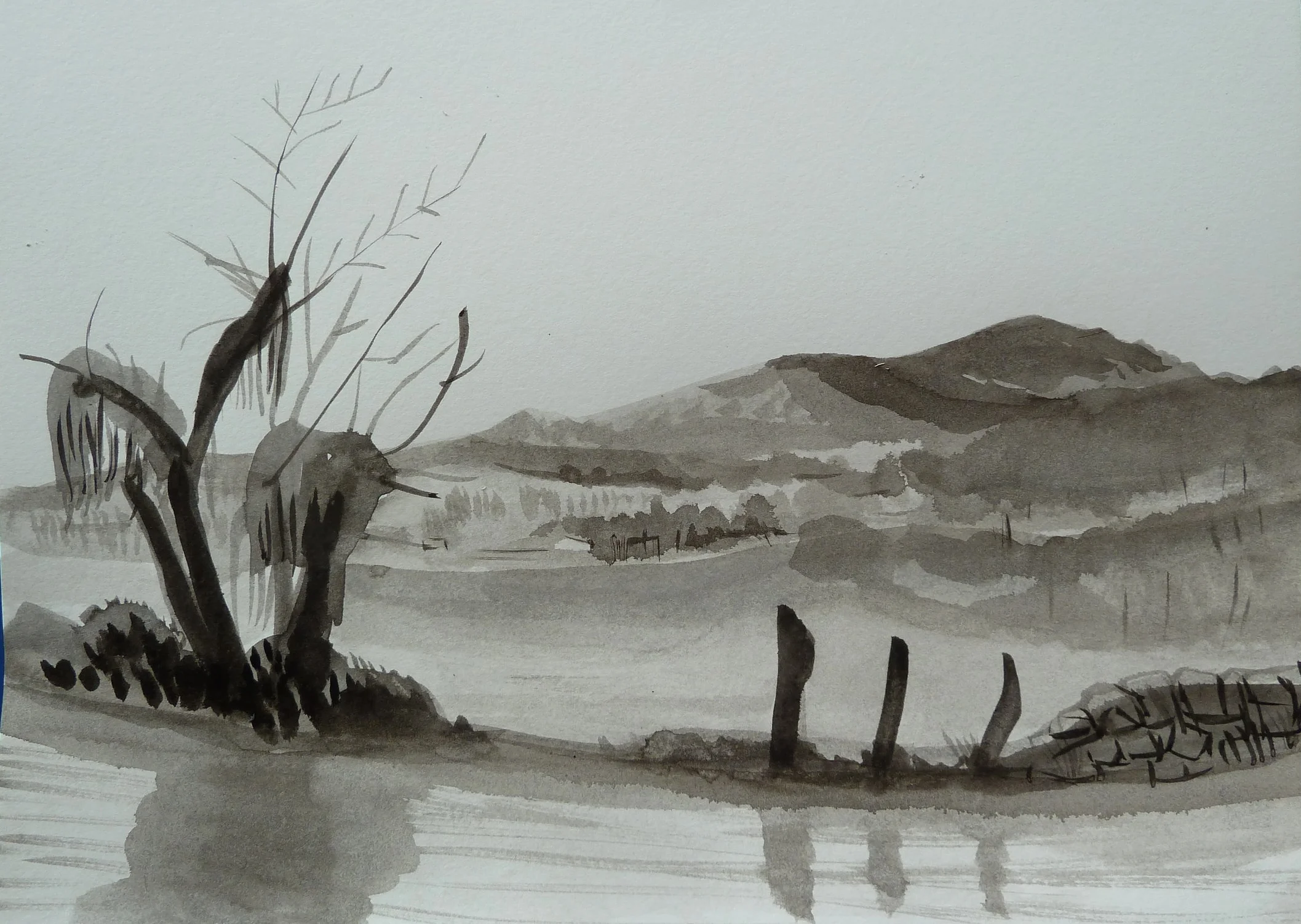 Prados y carretera en Tameza