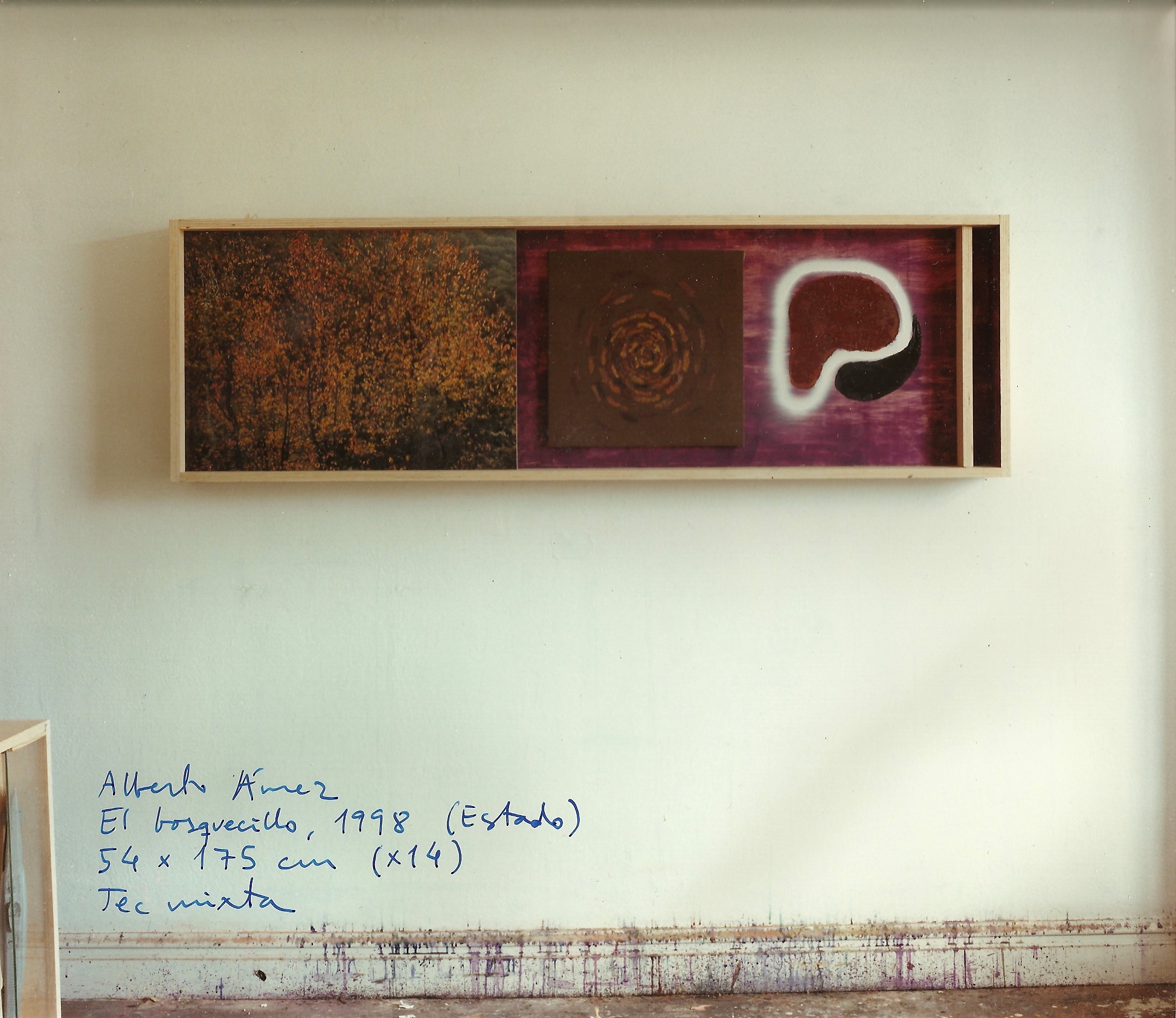 albertoamez.the -little-forest.jpg