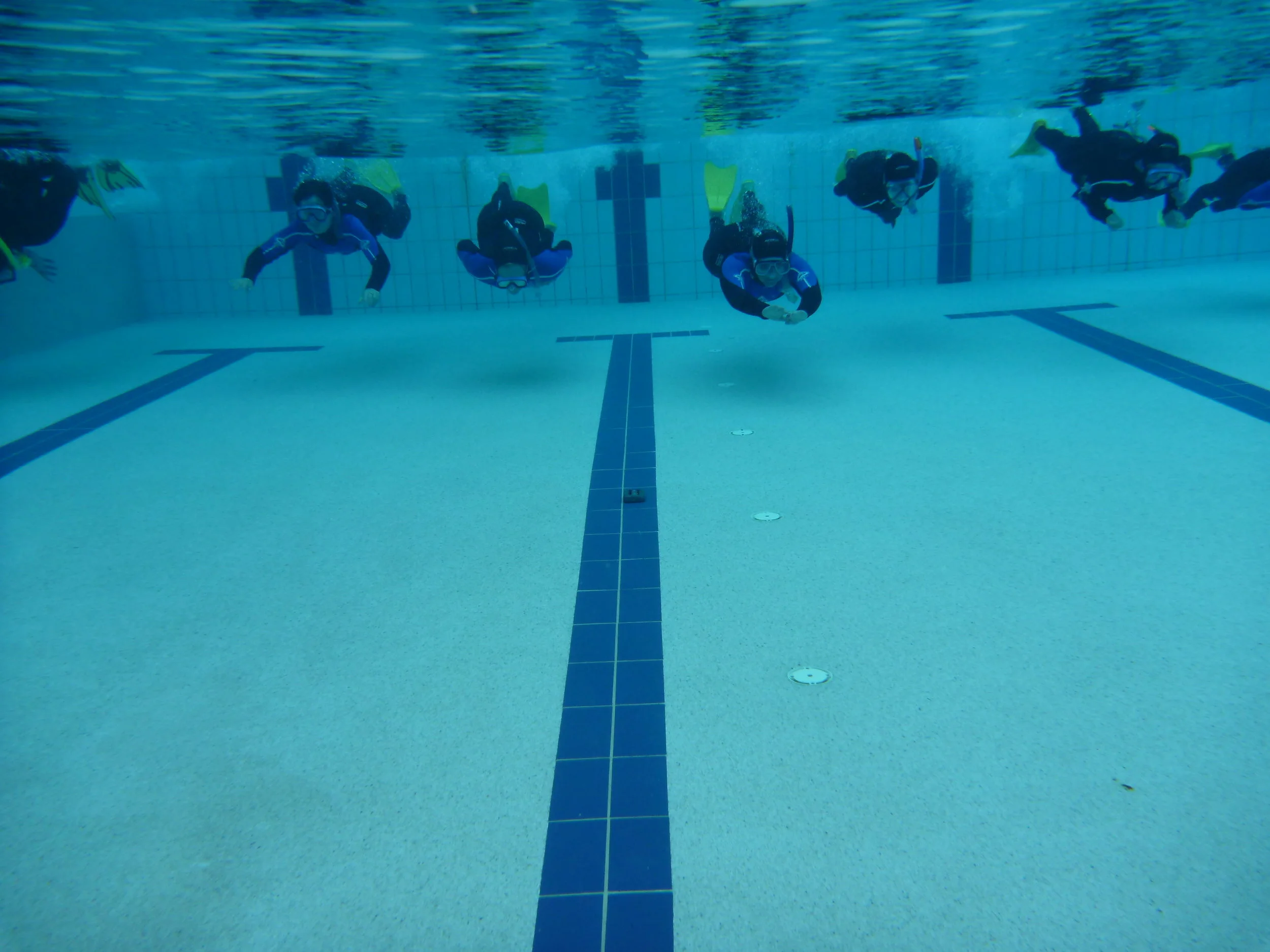 Our Snorkel Safety &amp; Skills program is comprehensive, covering safety issues that most people are unaware of.&nbsp;