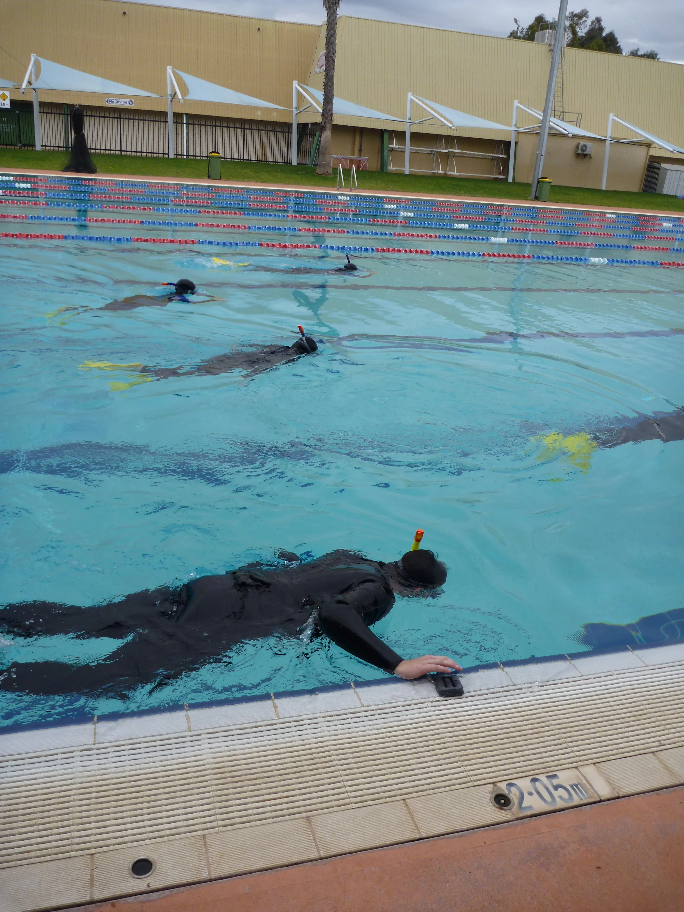 Aqua-Explorer is highly praised by teachers for being the most comprehensive snorkel program they've seen.