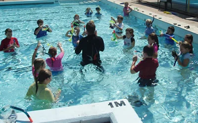 Sealife_school.jpg