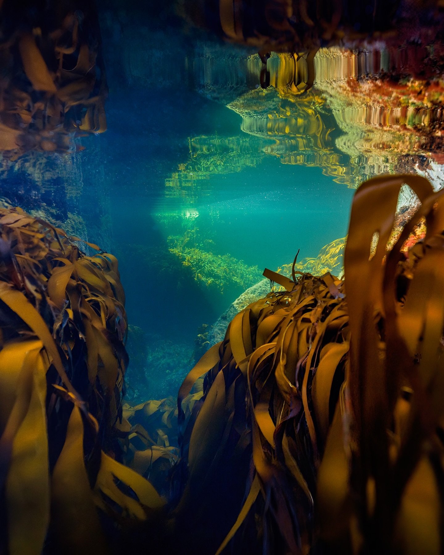 How far away is the ocean really from you? 
Sometimes I wonder if people truly understand what those few millimeters of surface hide.
We stand above the surface, seeing only the reflections of ourselves and our lives.
We truly don&rsquo;t see or unde