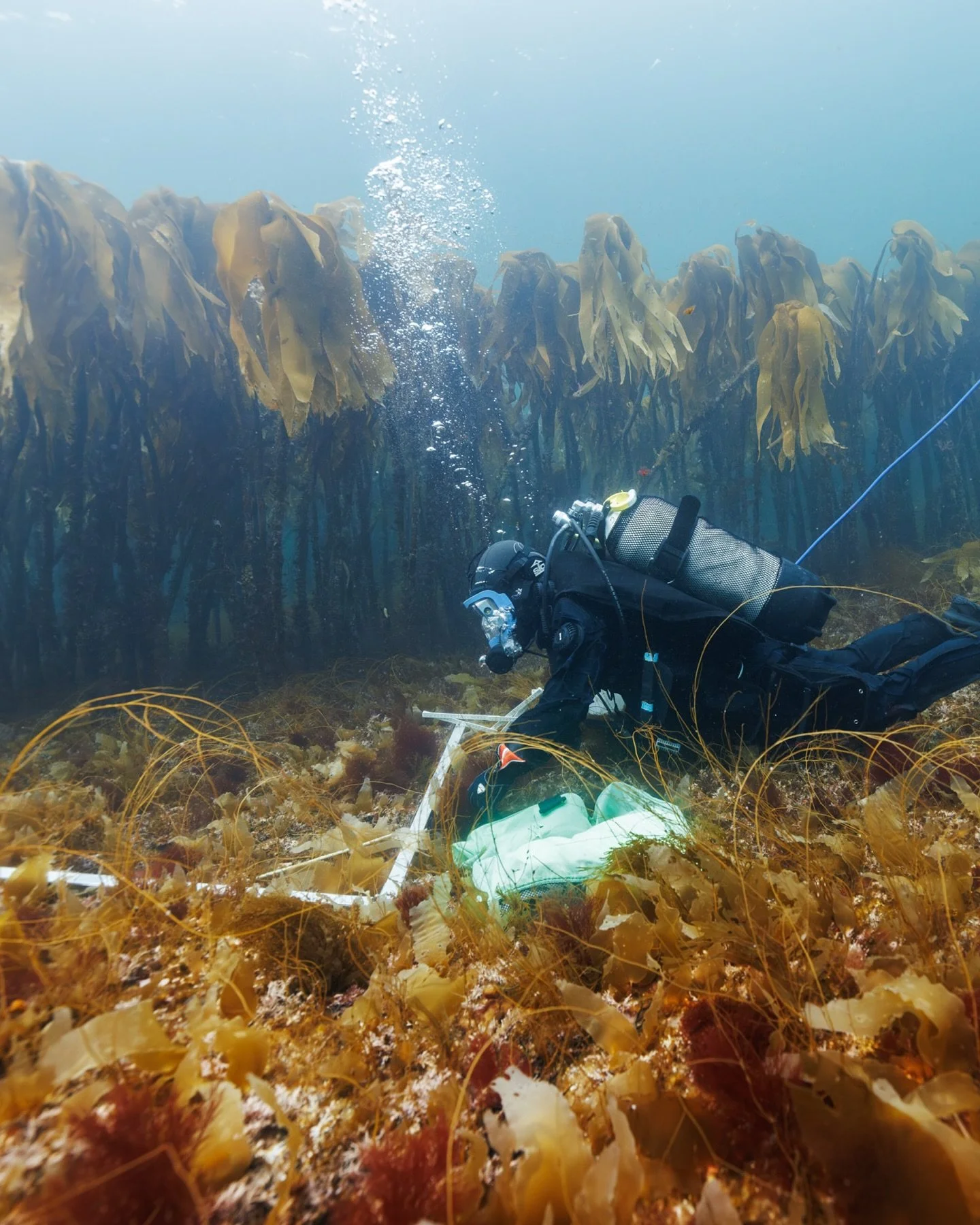 I&rsquo;m so lucky to have a job at @reflections.site where I can learn directly from the source: the marine scientists. I often follow them in the field, documenting their work. In this case, I accompanied a team from @nivaforskning, the Norwegian I