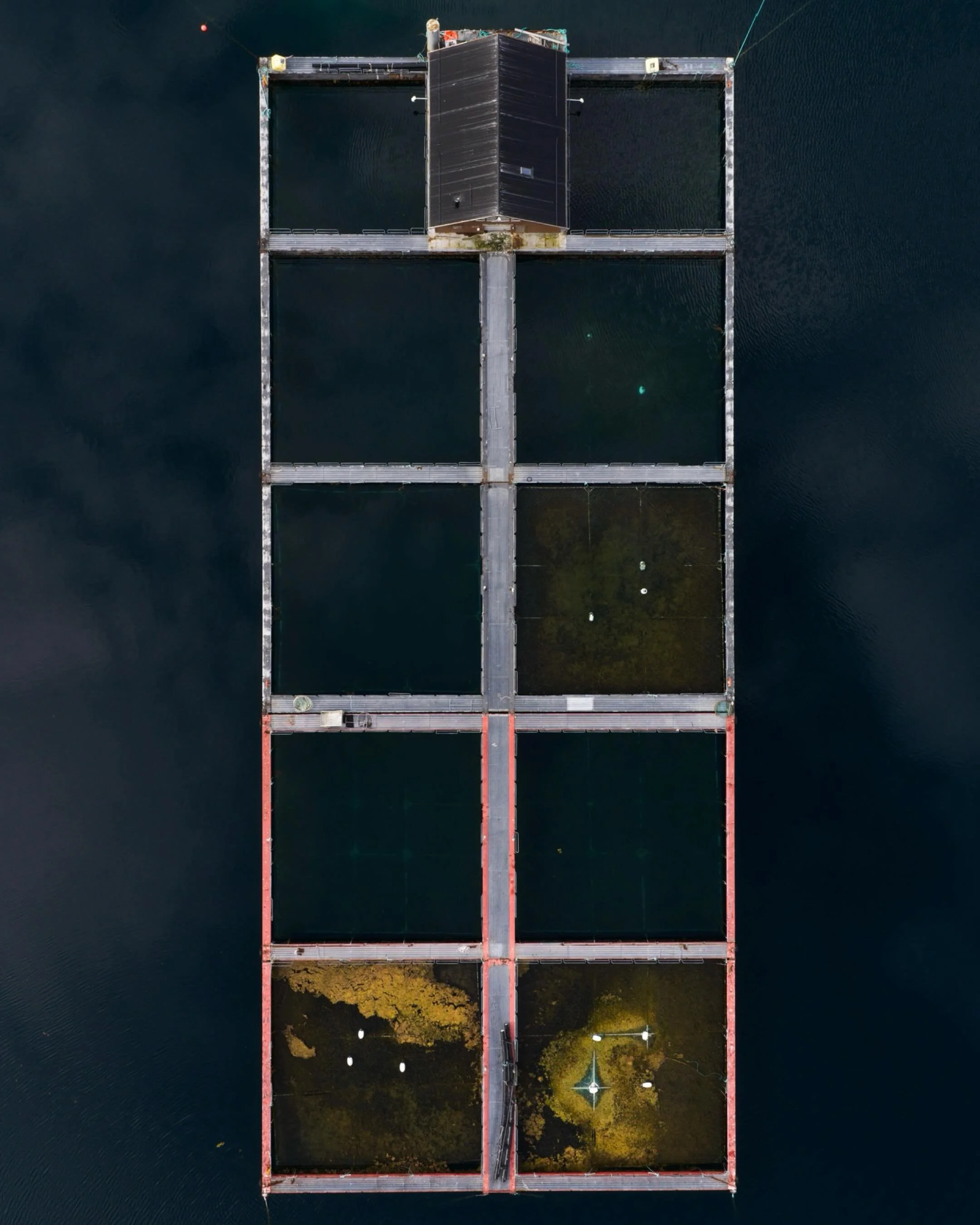 Field Notes From the Ocean:
Old and seemingly abandoned salmon farm pens in Vester&aring;len, northern Norway. I wonder what secrets these hide. What story does that thick layer of filamentous algae tell? One thing is certain: it is human-made.

I ro