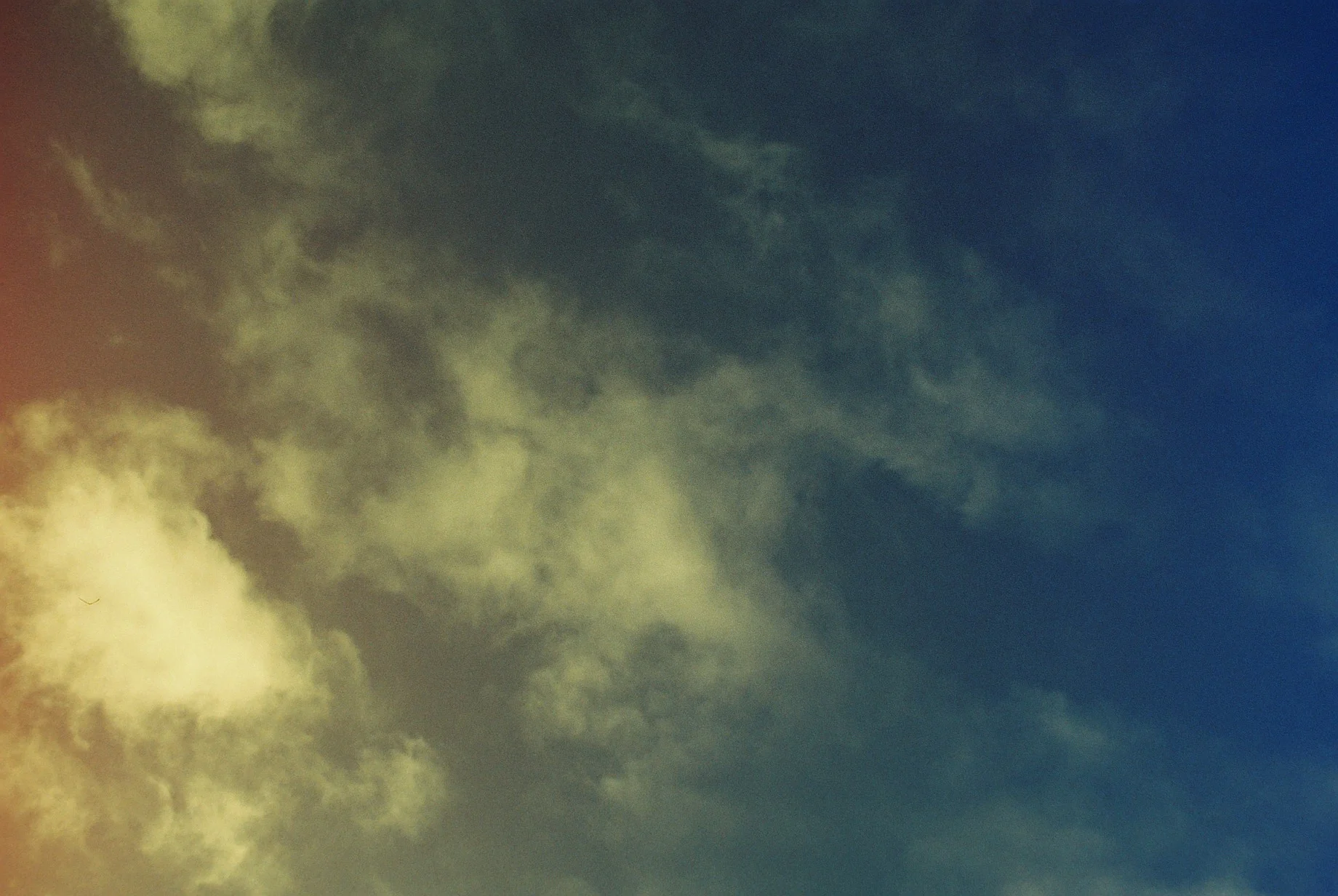 Revolog Kolor 35mm Film