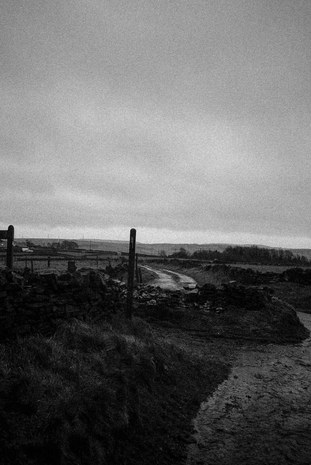 _DSC4995.jpeg