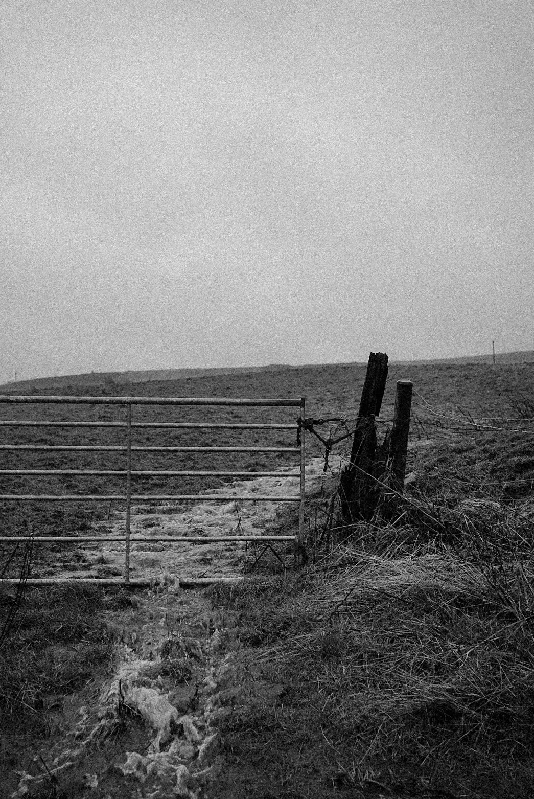 _DSC4908.jpeg