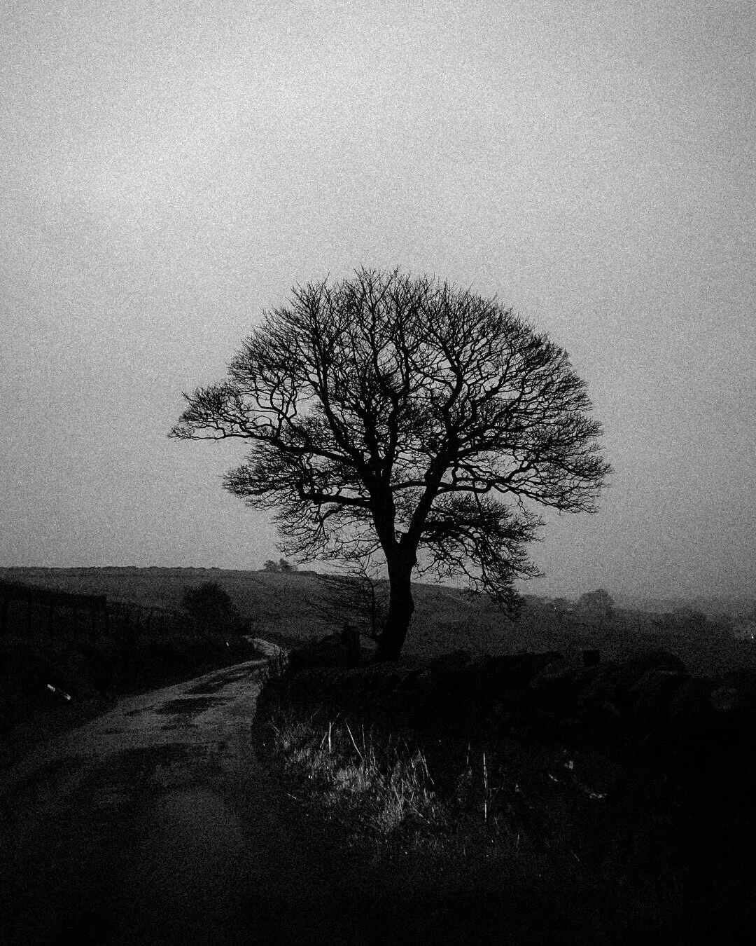 _DSC4877.jpeg