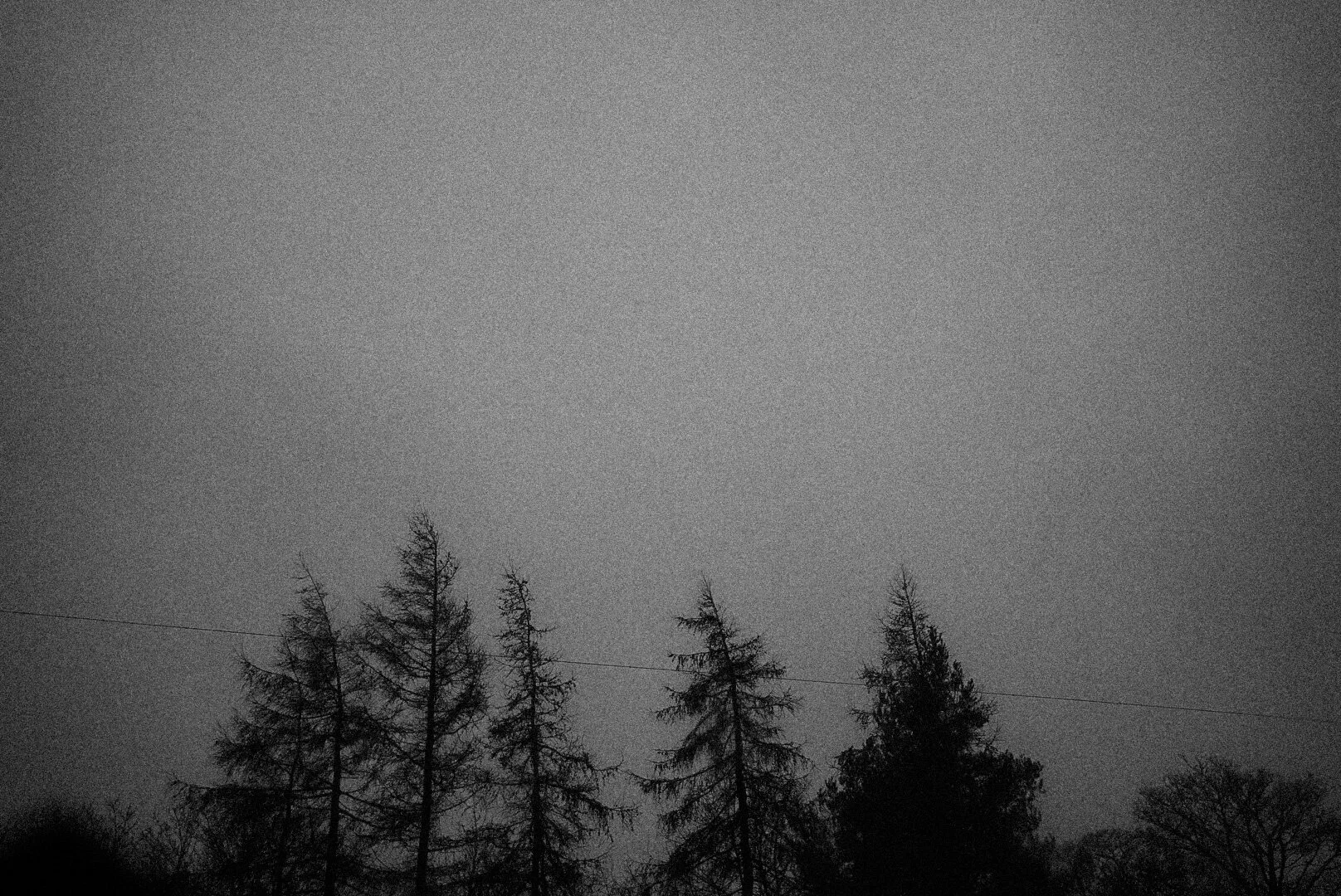 _DSC4939.jpeg