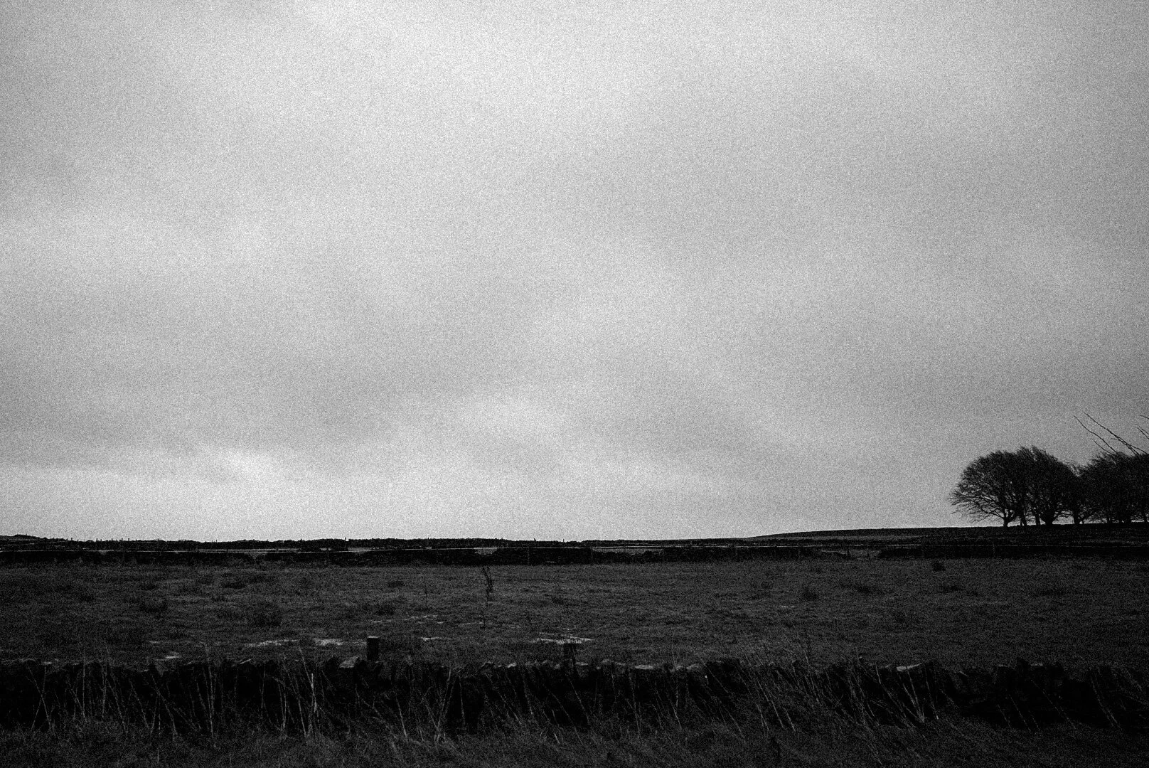 _DSC4925.jpeg
