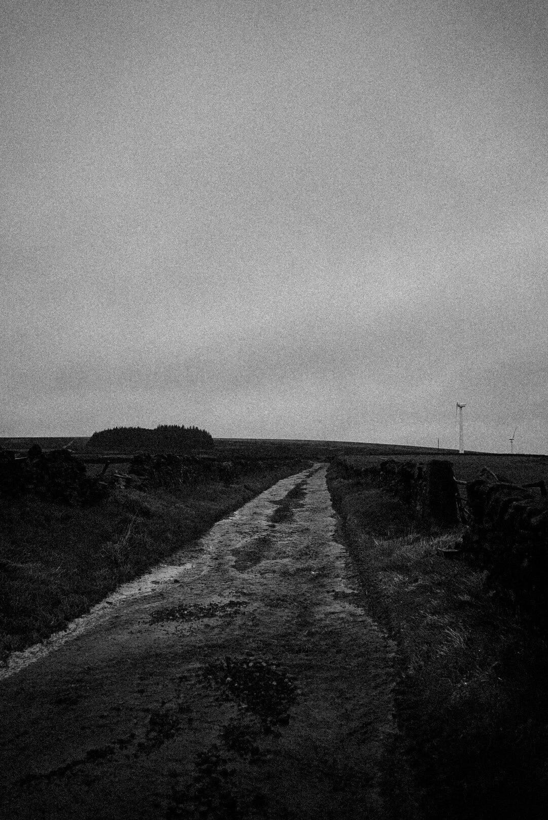 _DSC4986.jpeg