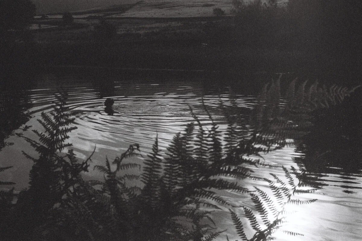 Wild Swimming / Kodak Tmax 3200