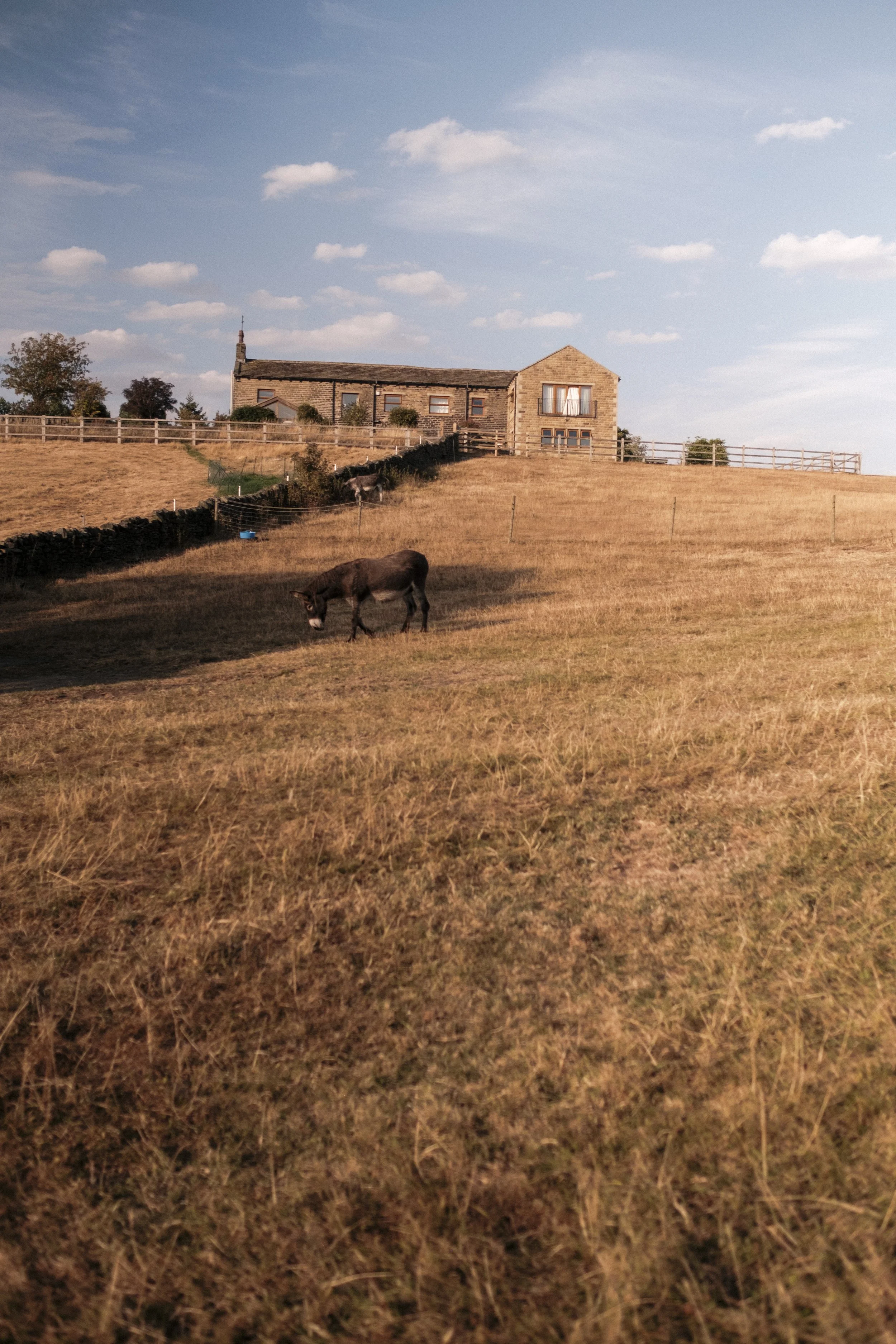 previewGoodfootingslowfoodwalk-6.jpg