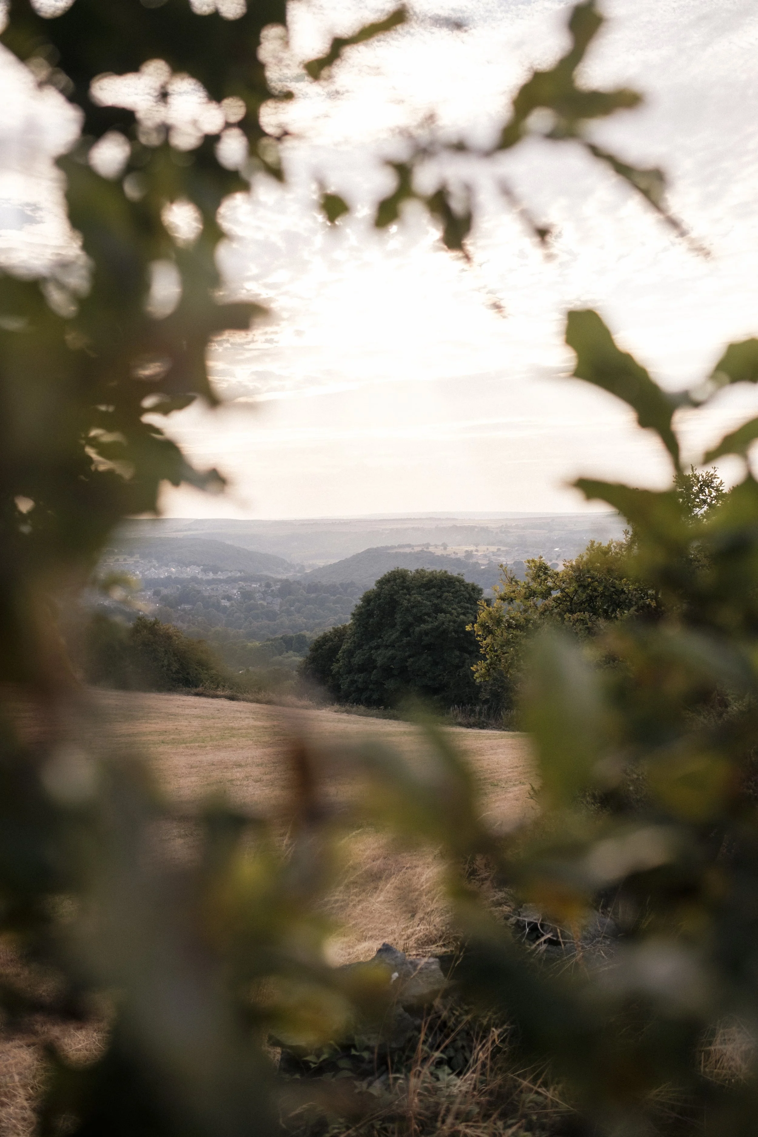 previewGoodfootingslowfoodwalk-10.jpg