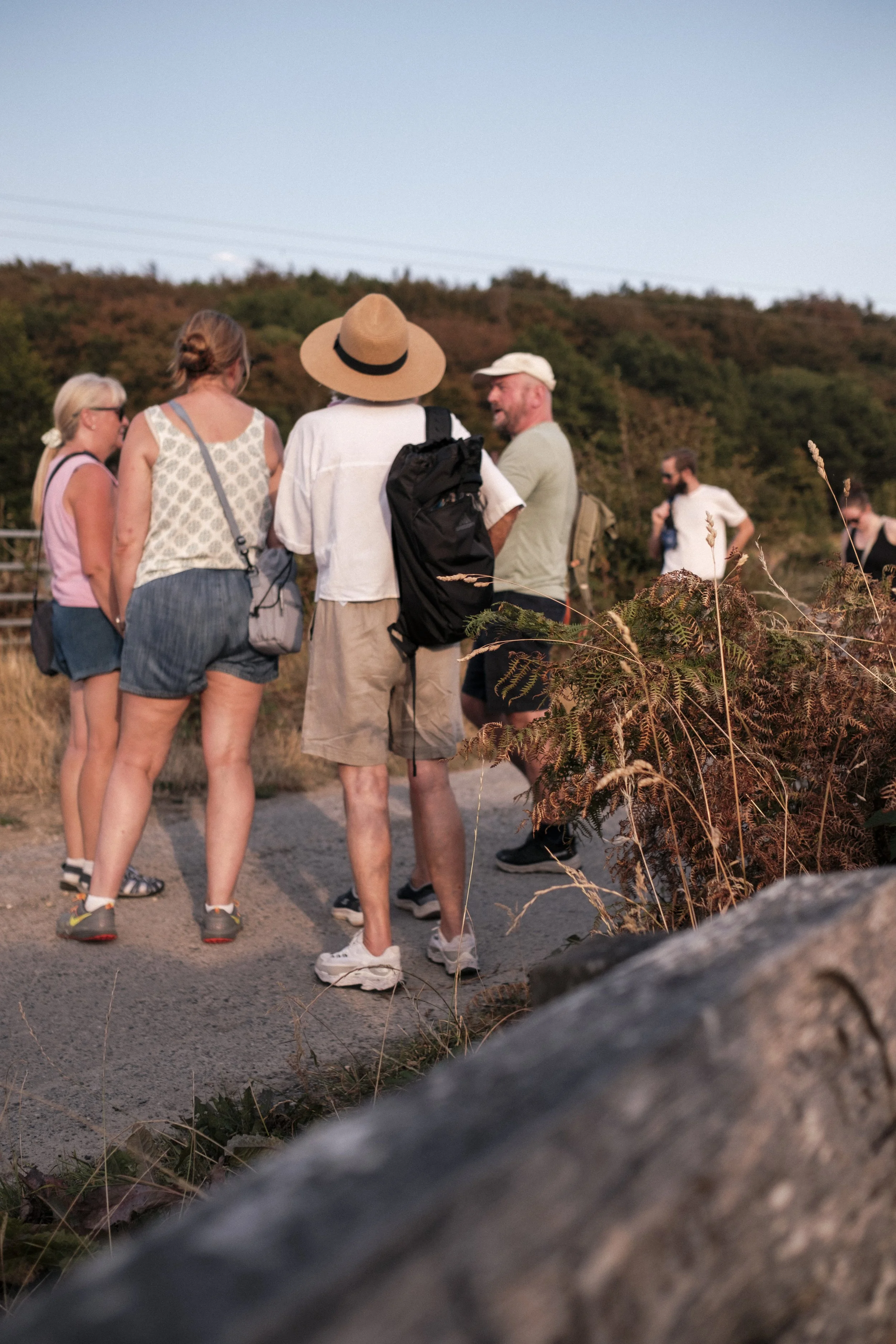 previewGoodfootingslowfoodwalk-16.jpg
