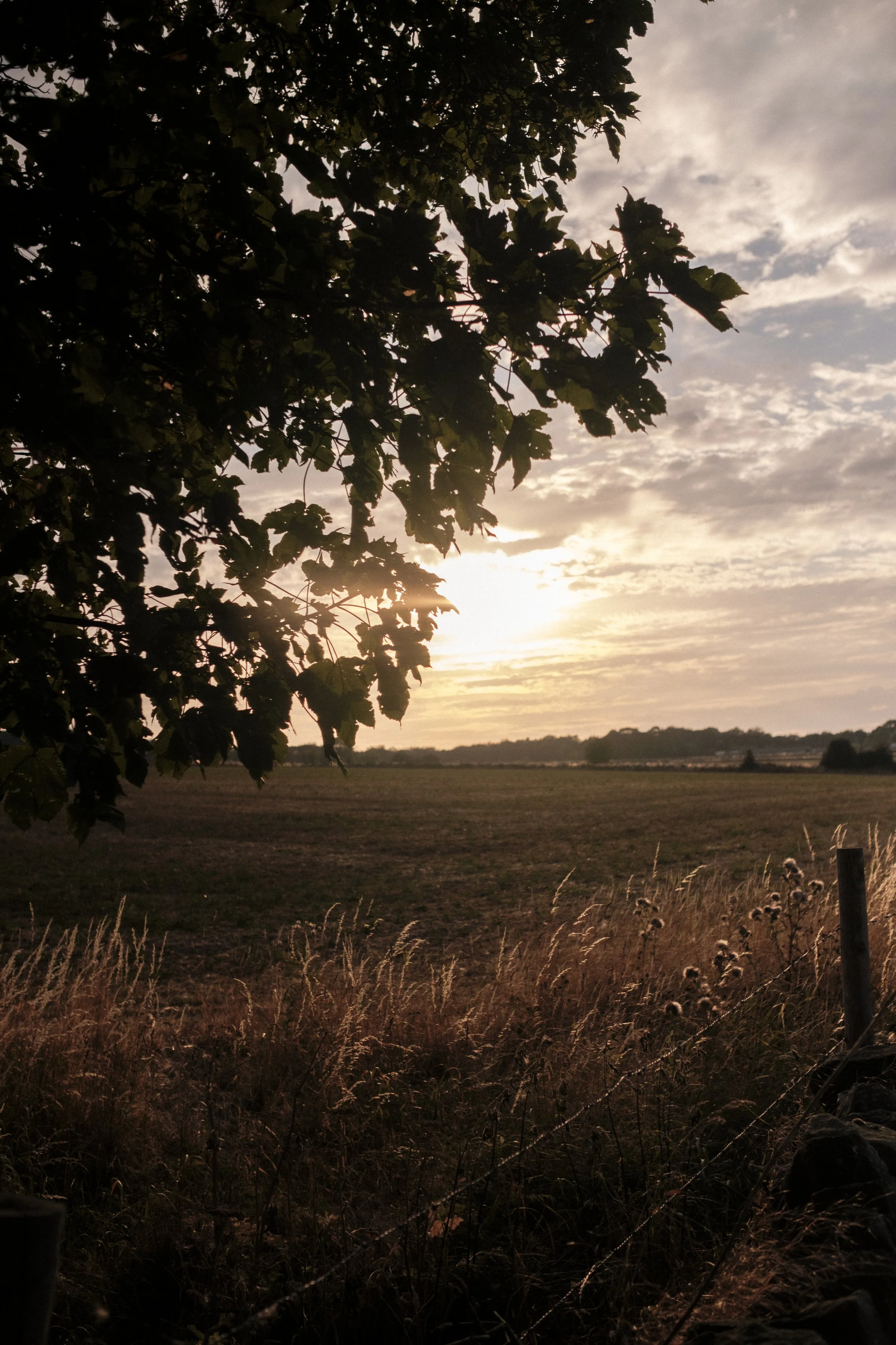 previewGoodfootingslowfoodwalk-21.jpg