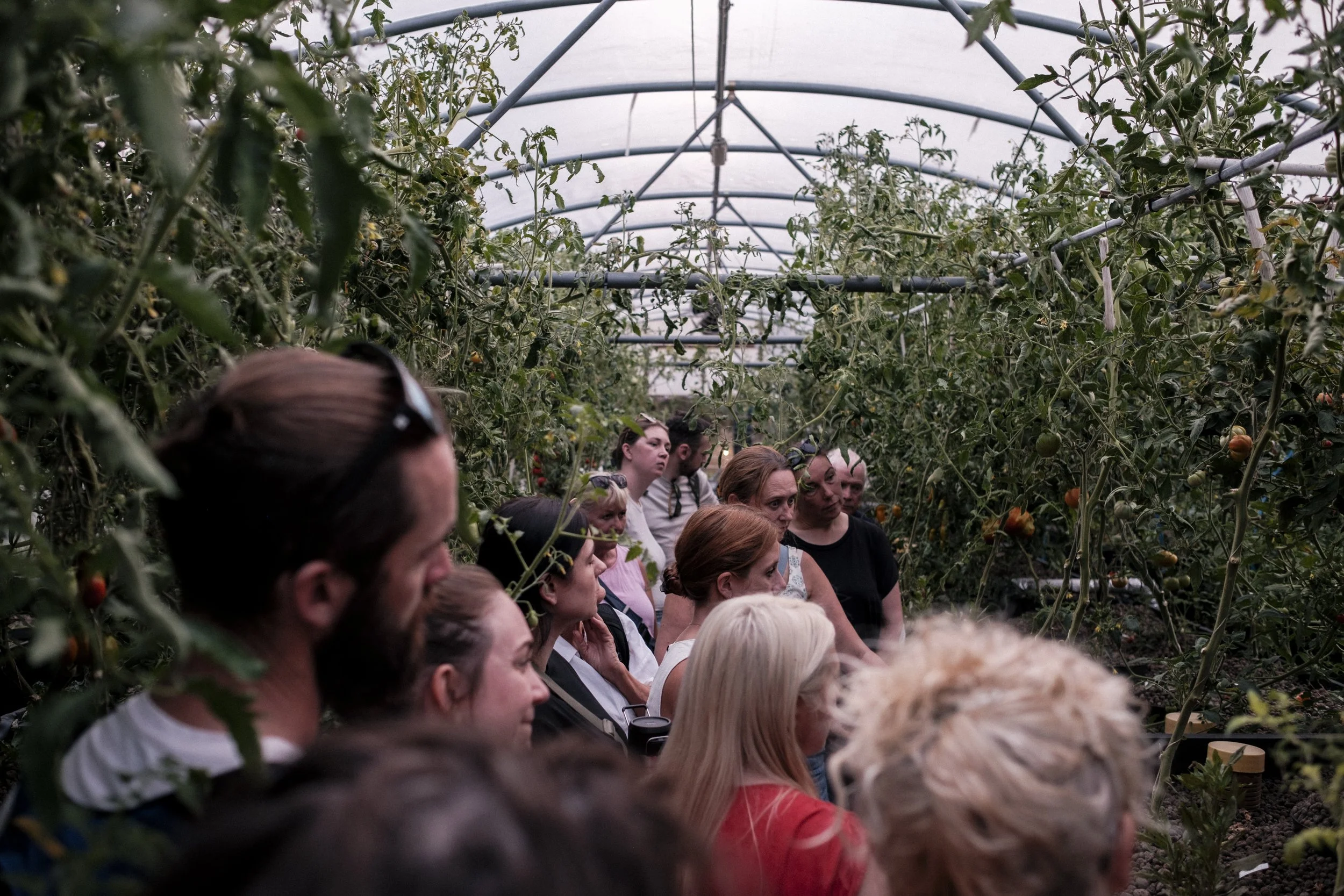 previewGoodfootingslowfoodwalk-38.jpg