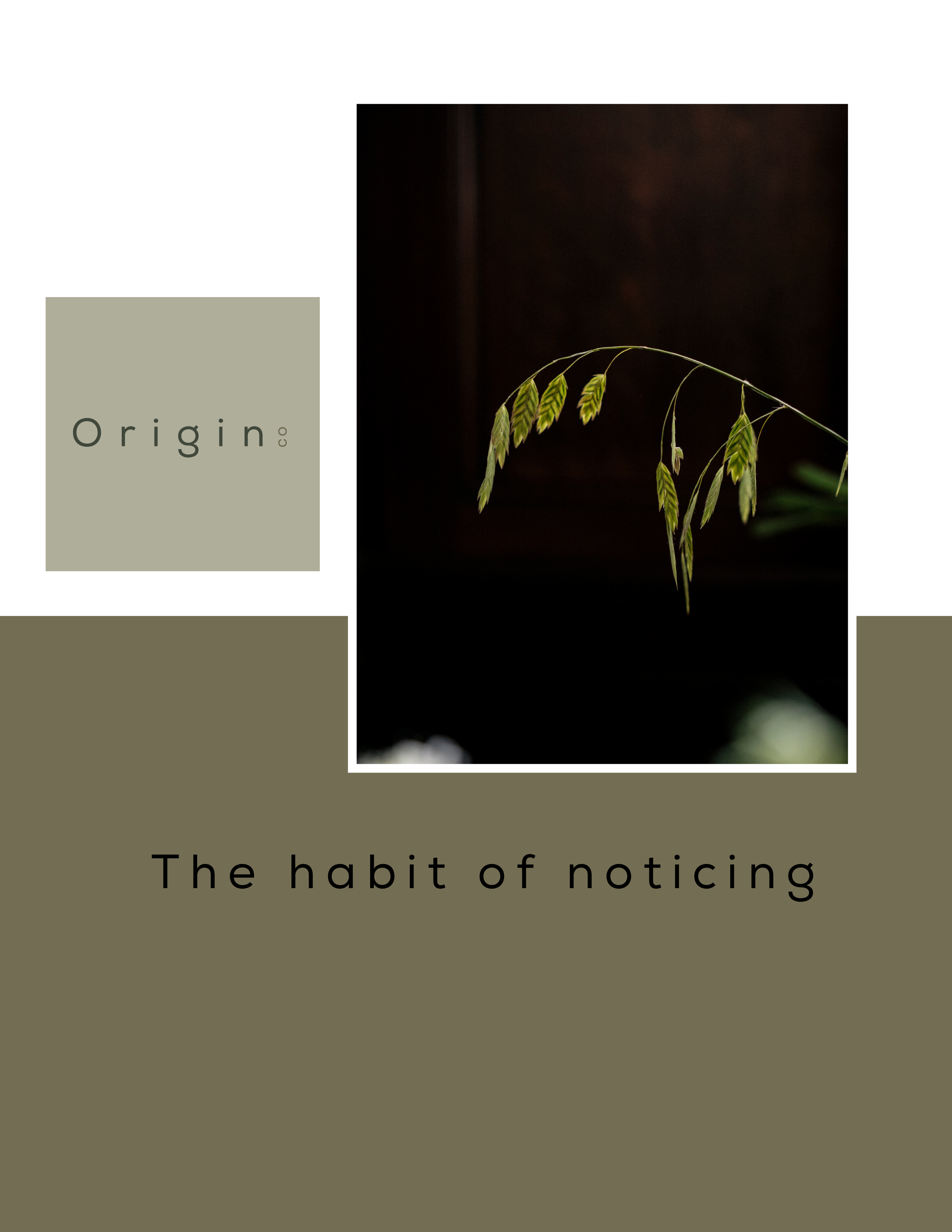 The habit of noticing  (1).png