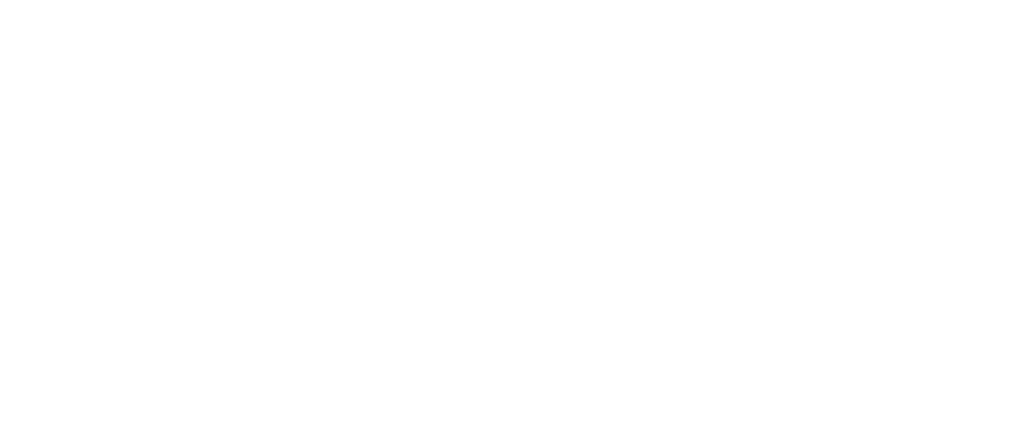 the television and movie store
