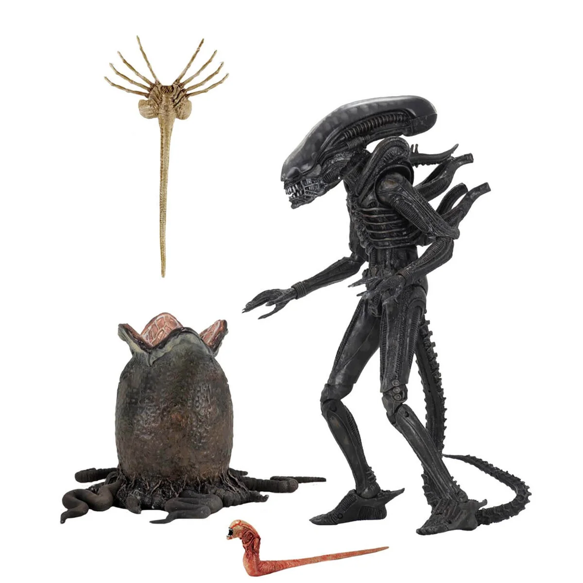 neca alien