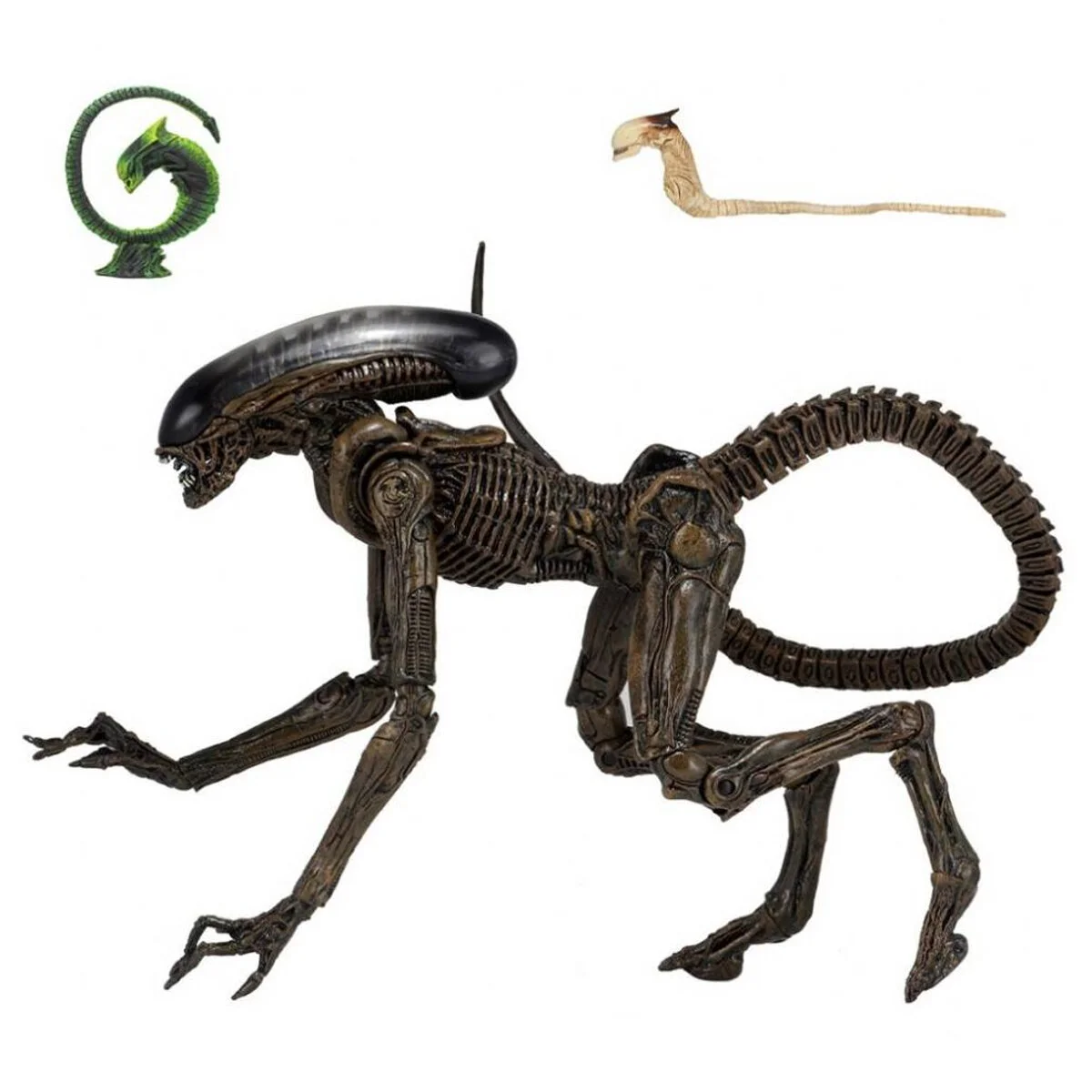 aliens ultimate edition neca