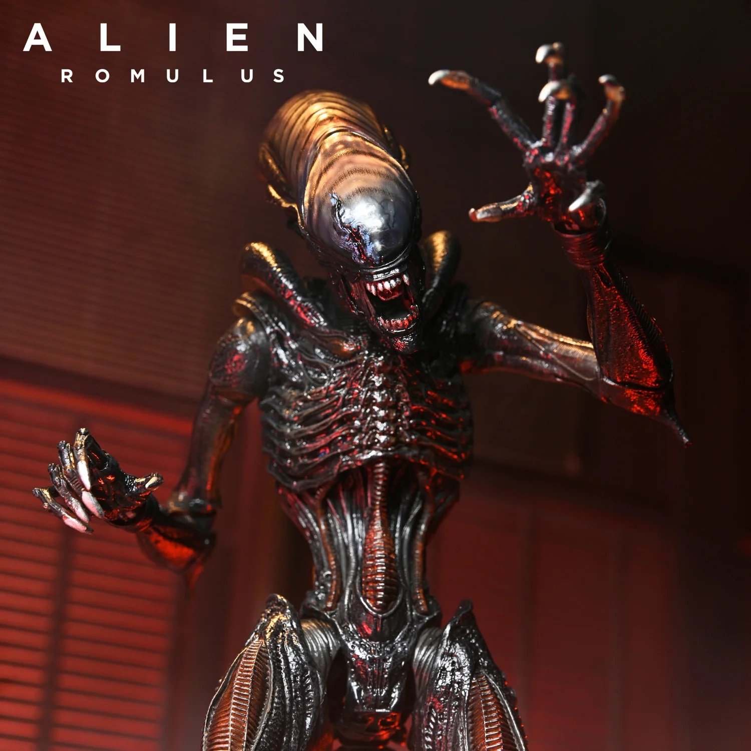 alienromulus2.jpg