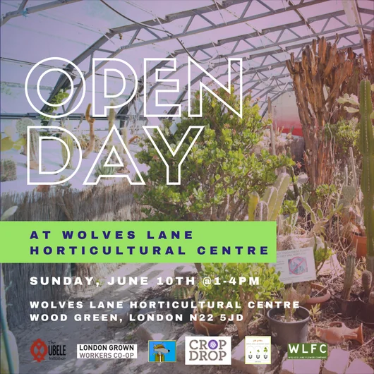 Open Day at WLHC, 10th June 2018.jpg