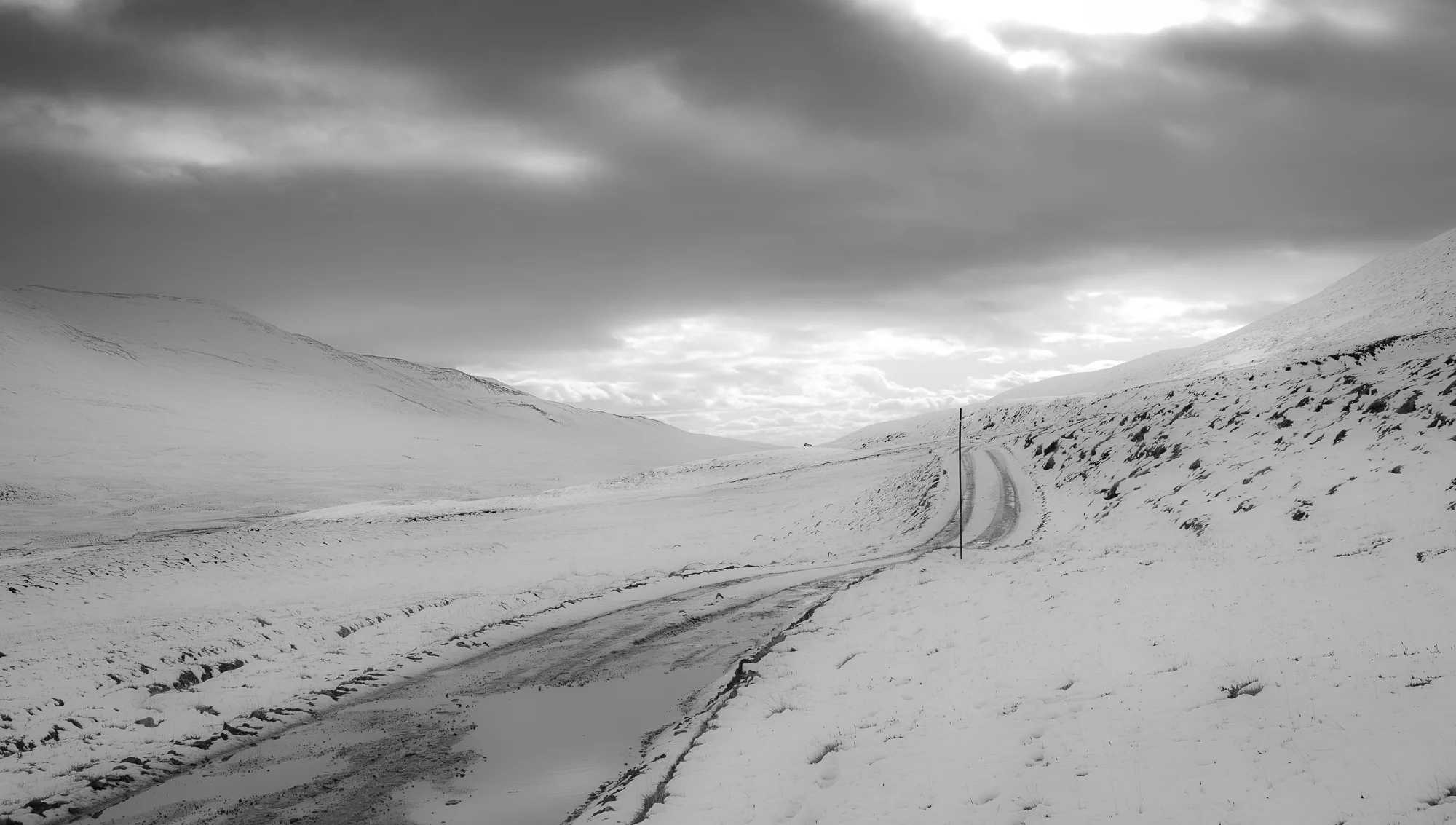 DSC_4505.jpg