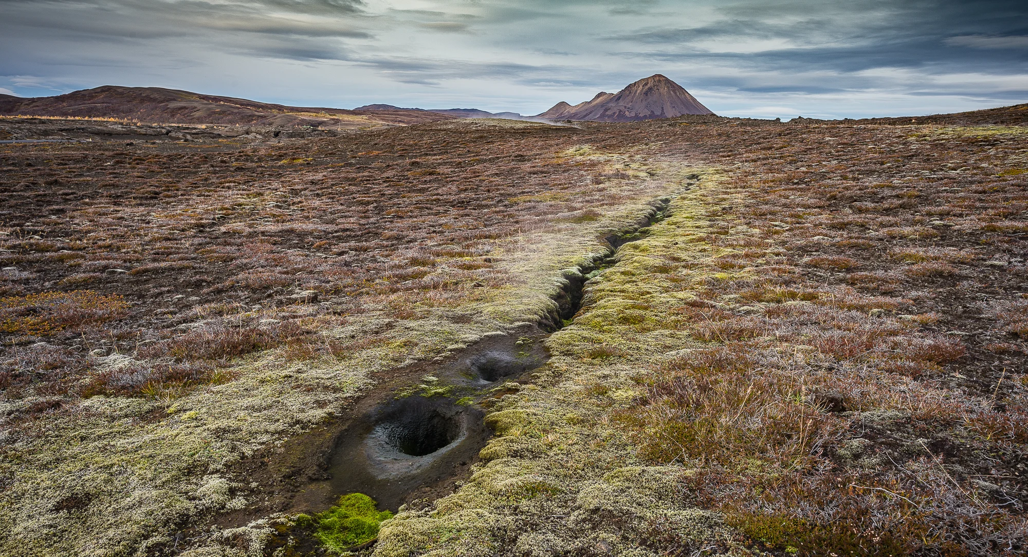 DSC_8996.jpg
