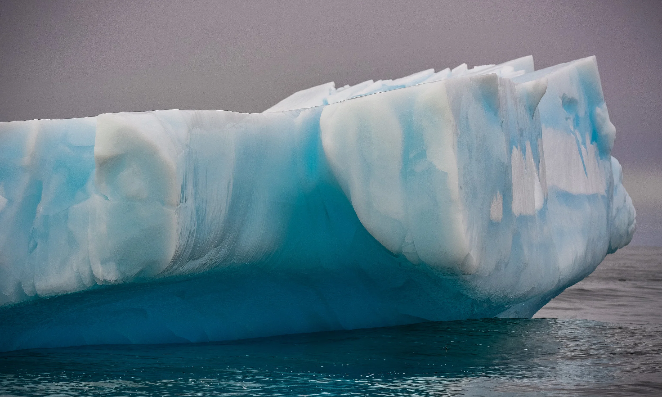 DSC_3660.jpg
