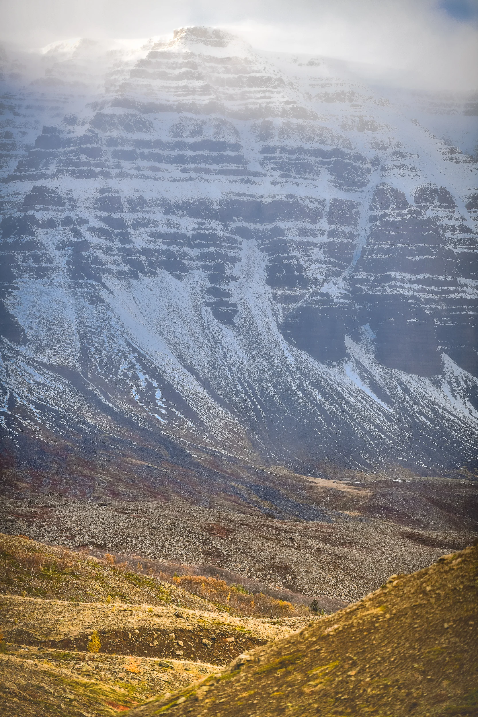 DSC_2034.jpg