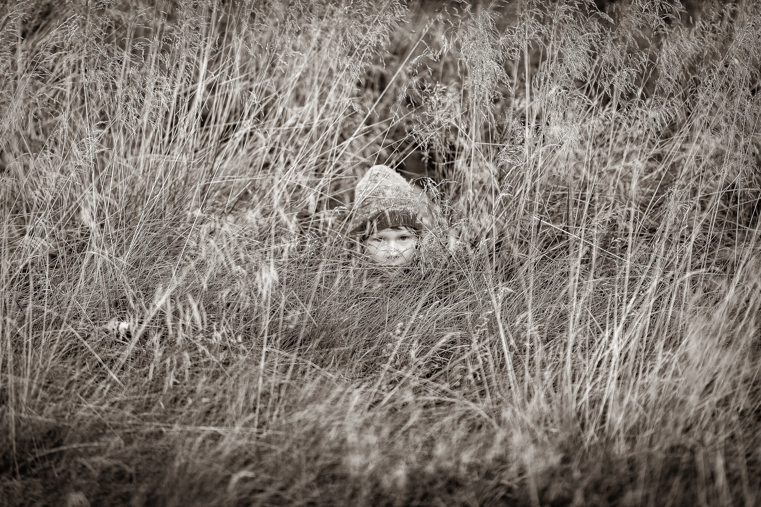 DSC_2037.jpg