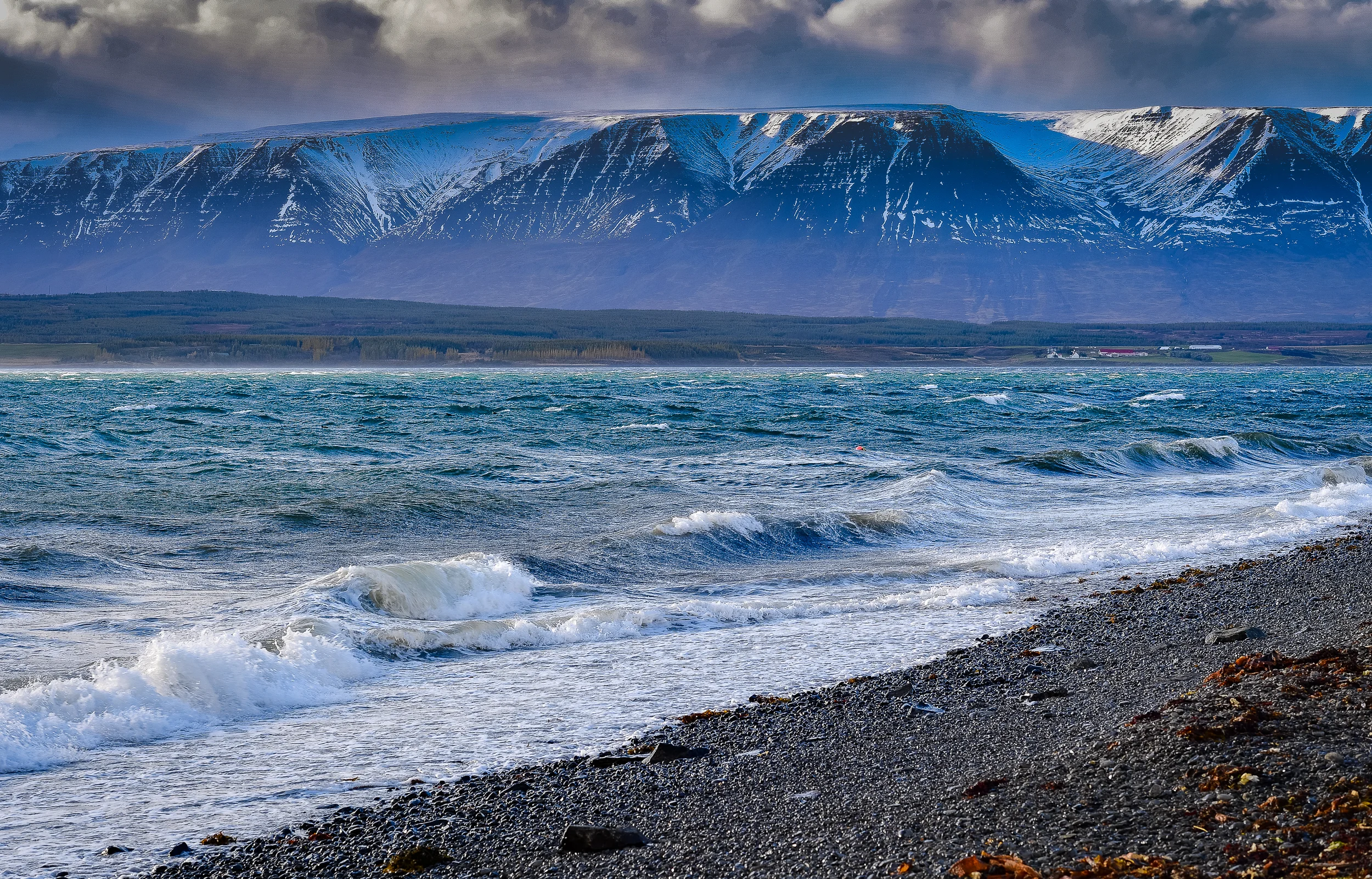 DSC_2499.jpg