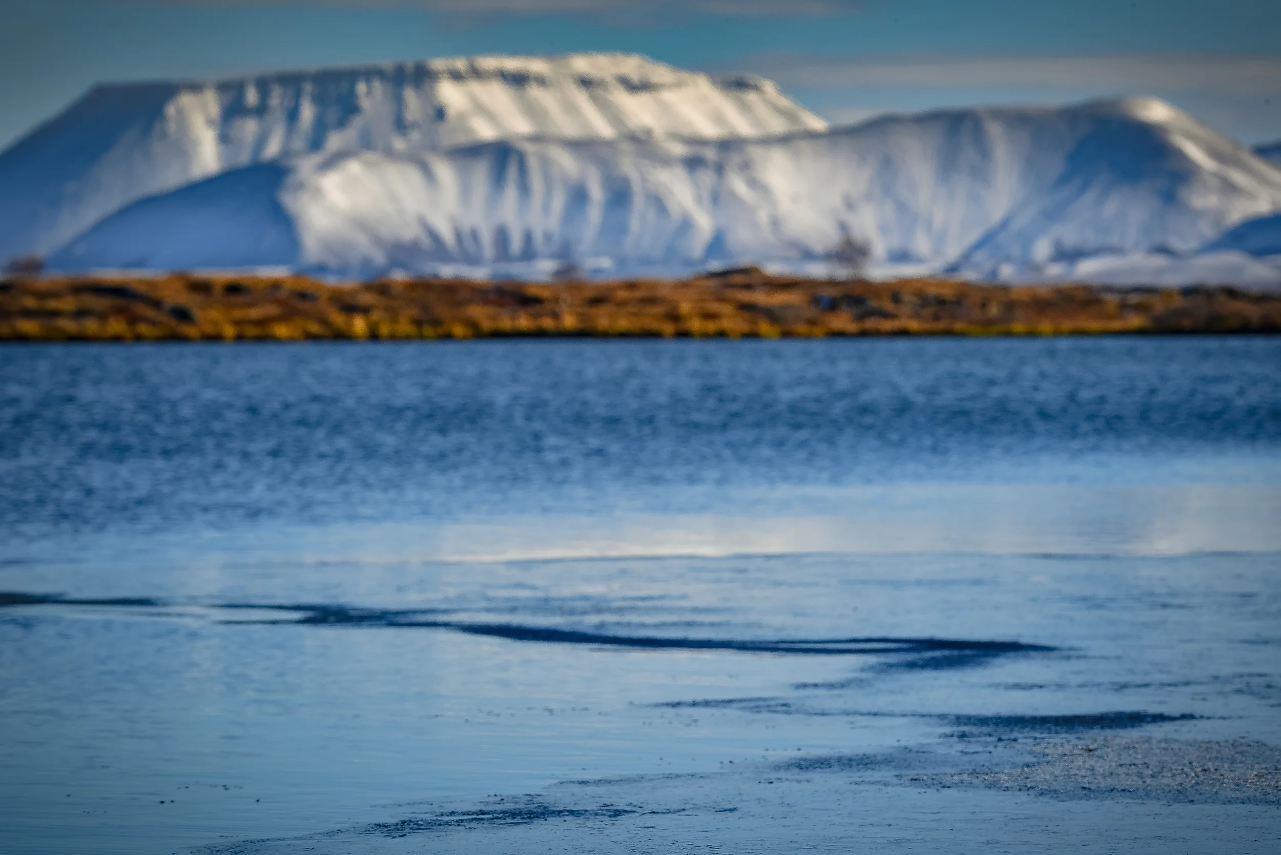 DSC_3096.jpg