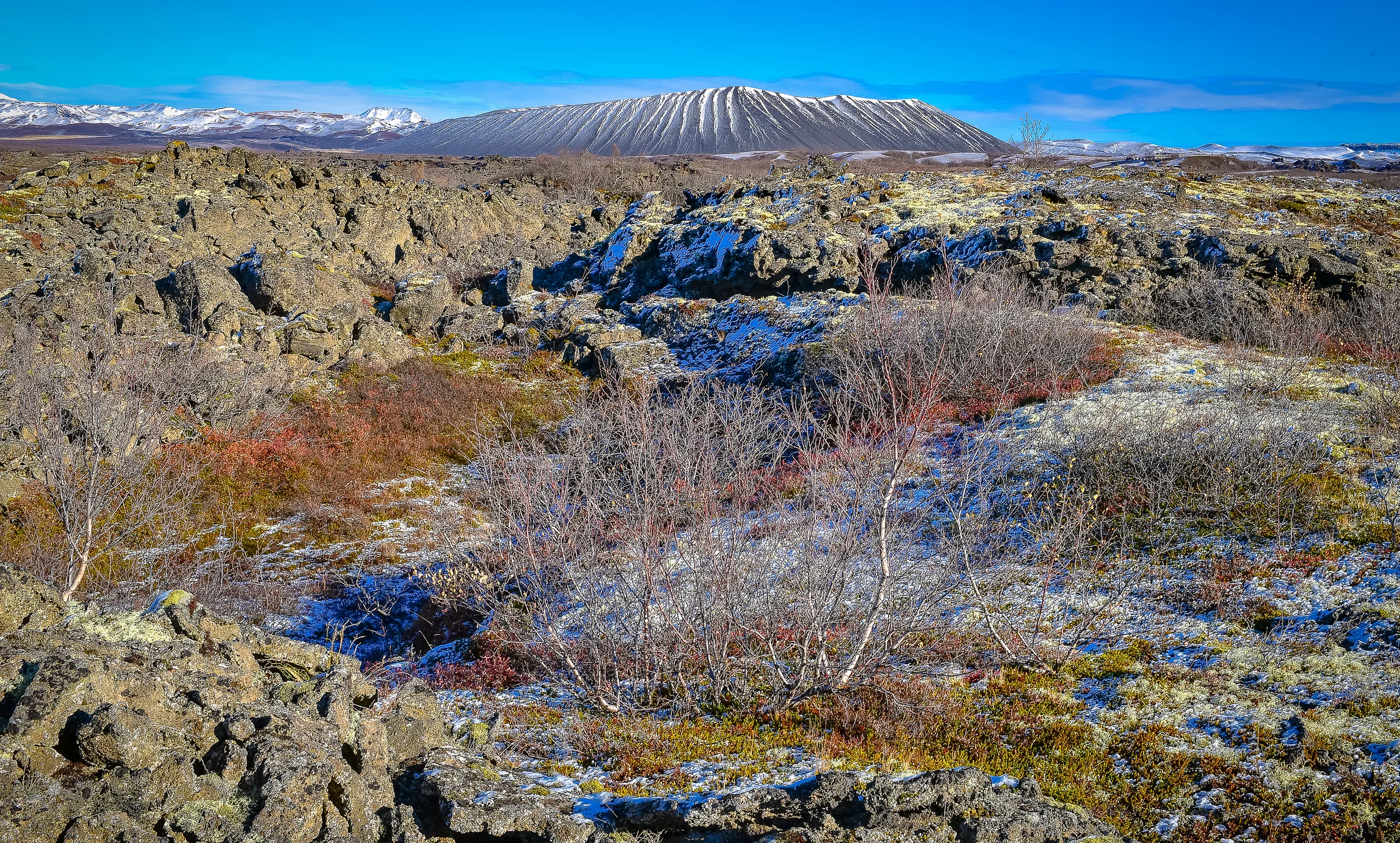 DSC_3104.jpg