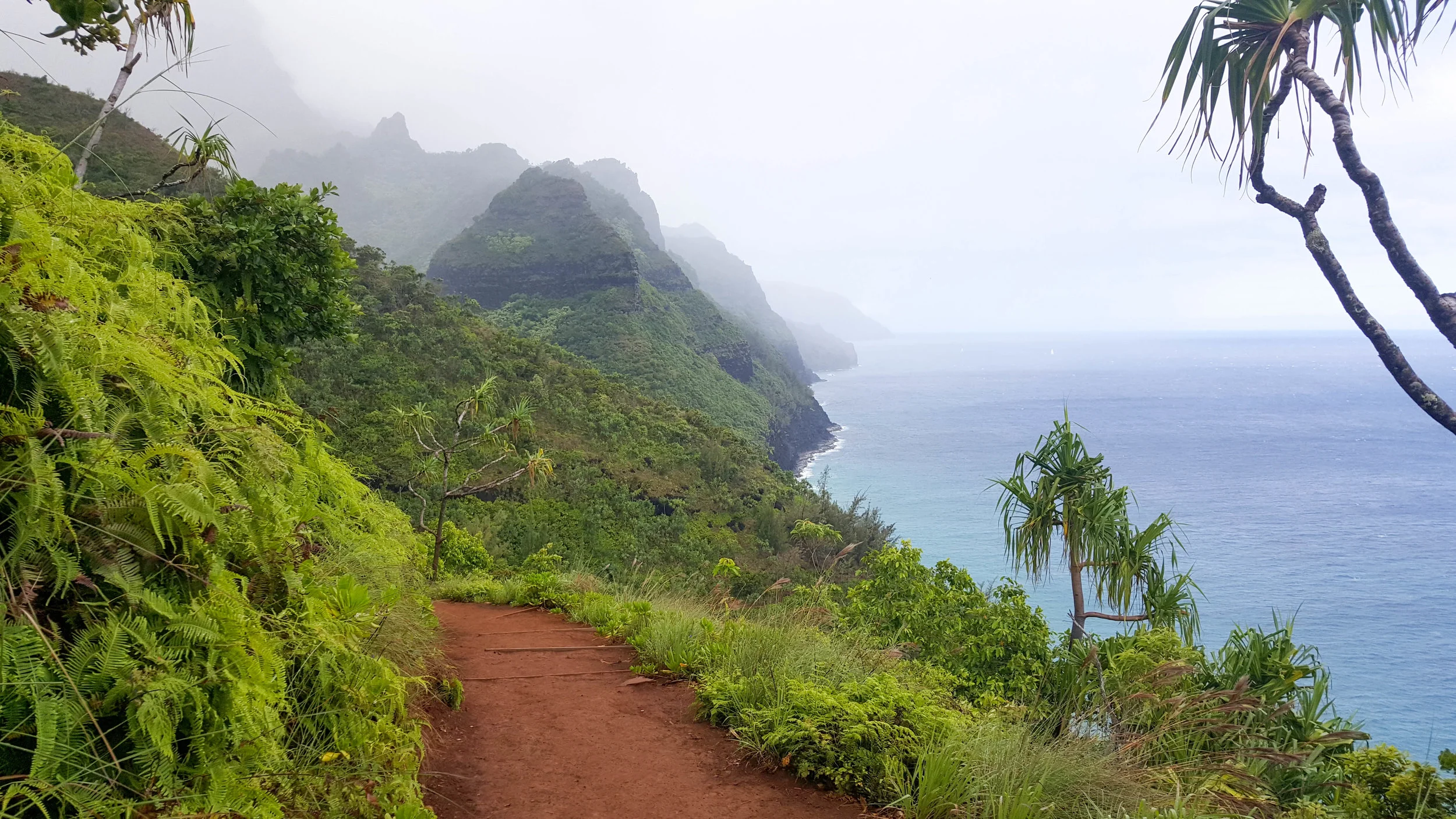 Kauai blog-1-6.jpg