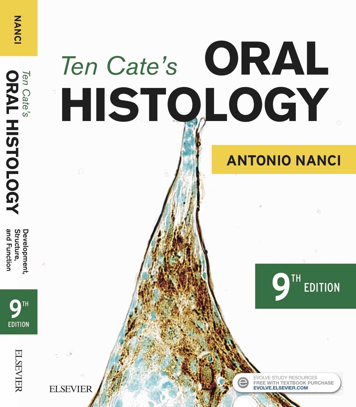 The 9th Edition of Ten Cate's Oral Histology: Development, Structure, and Function is Out!
