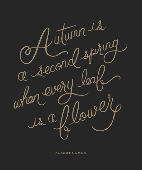 Image courtesy of Rifle Paper Co.