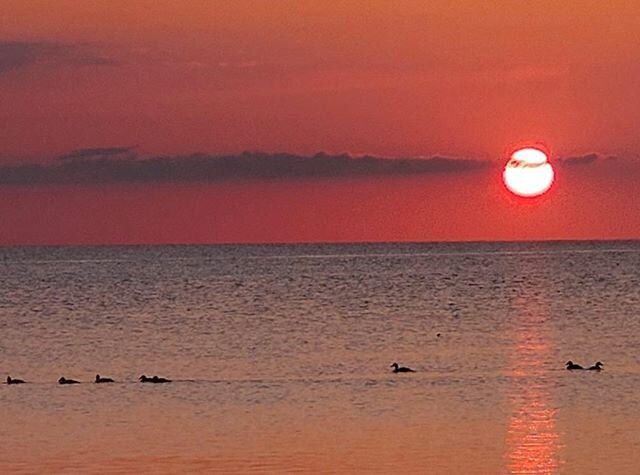 Learning to enjoy the simple things the ocean has to offer.